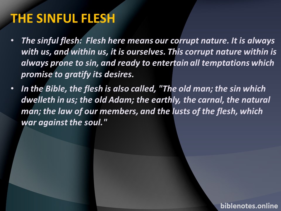 The Sinful Flesh