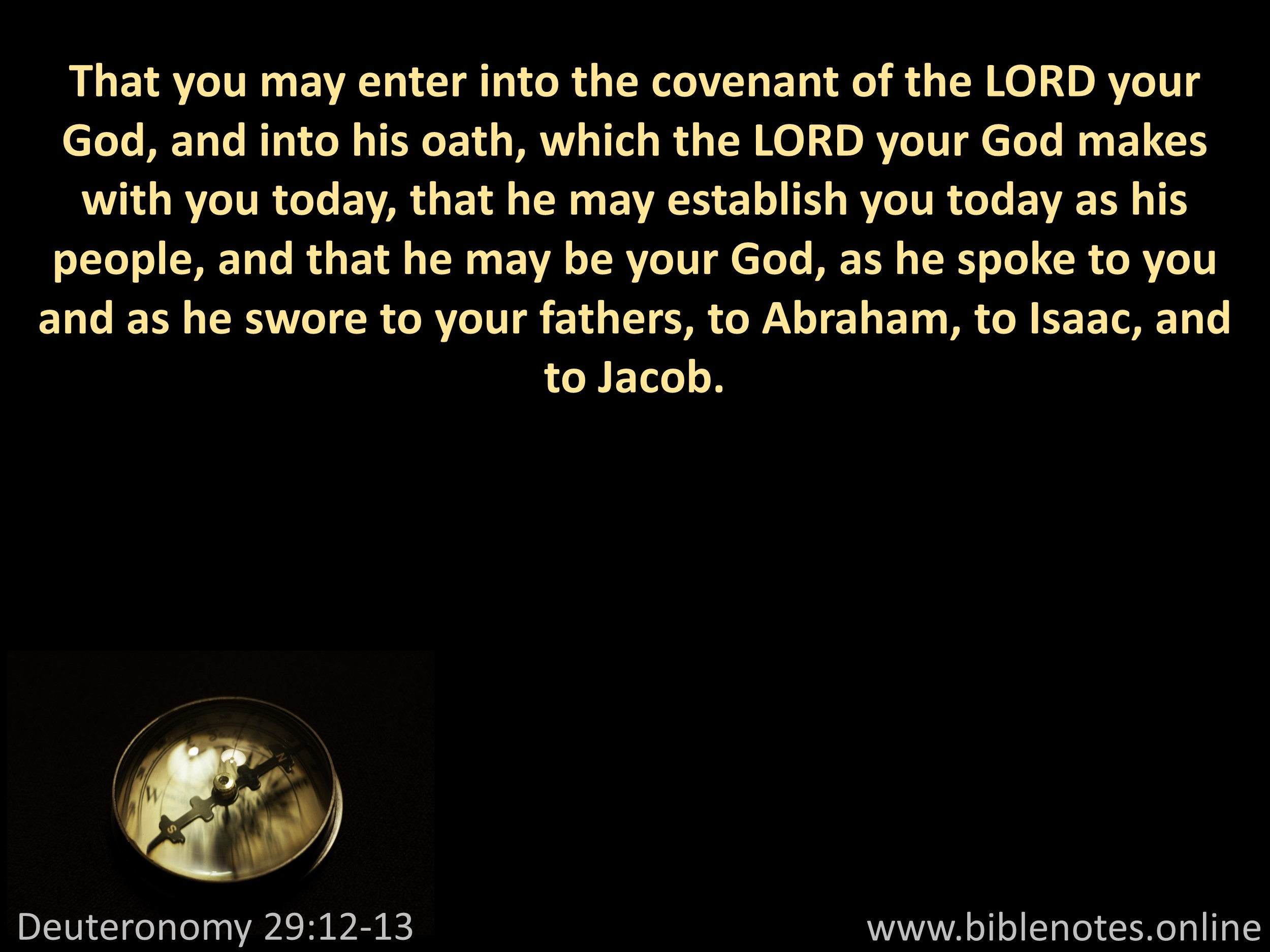 Bible Verse from Deuteronomy Chapter 29