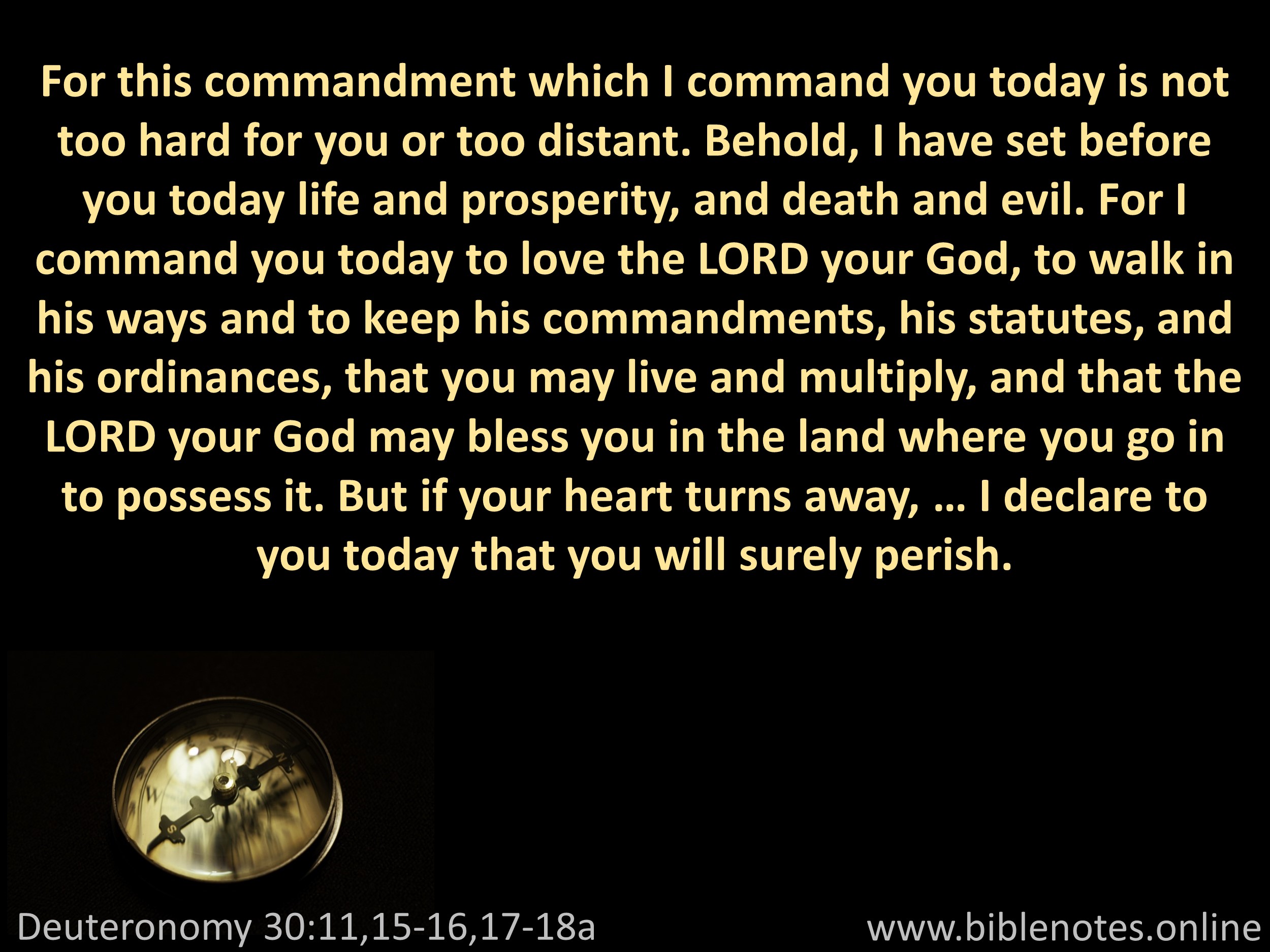 Bible Verse from Deuteronomy Chapter 30