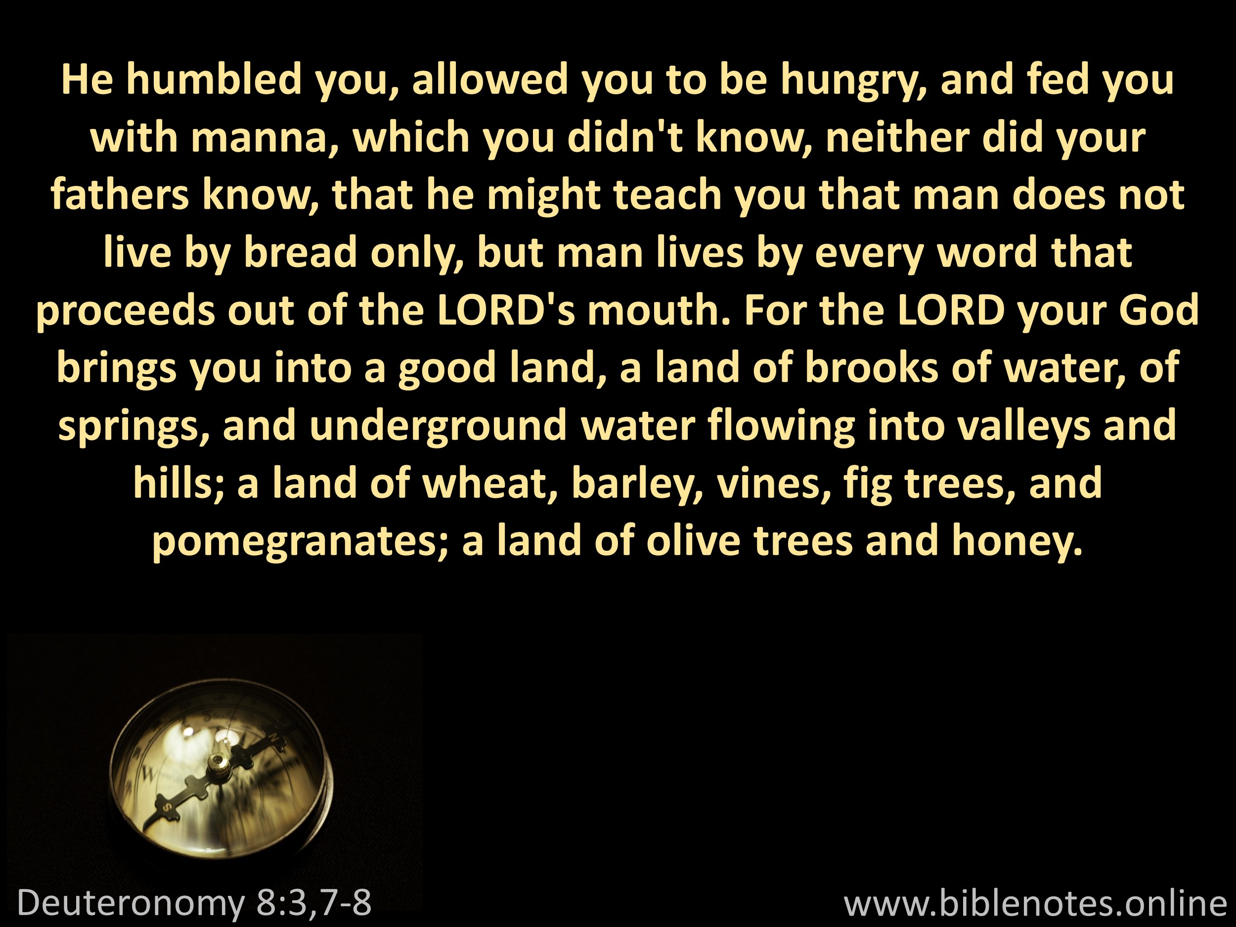 Bible Verse from Deuteronomy Chapter 8