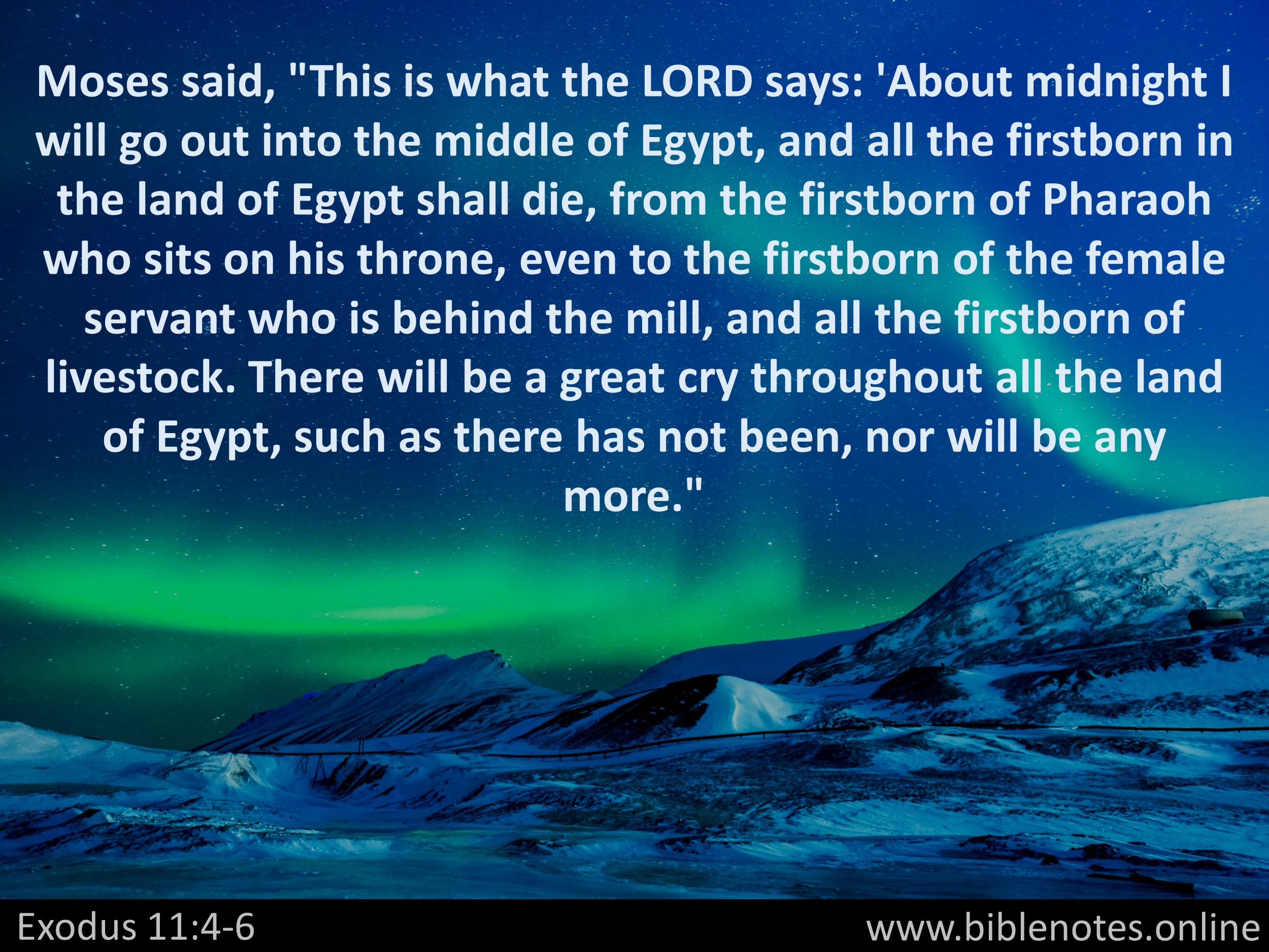 Bible Verse from Exodus Chapter 11