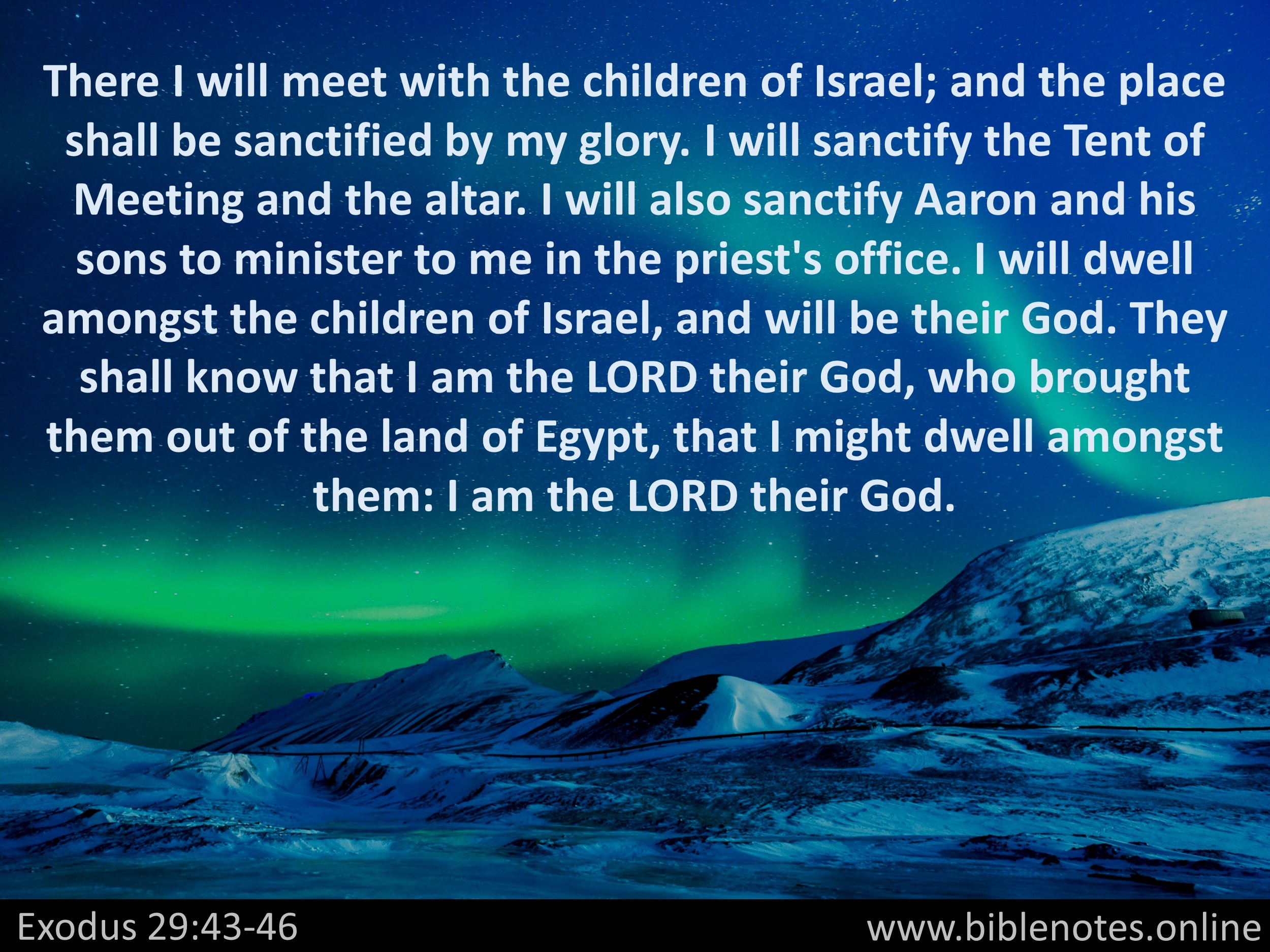 Bible Verse from Exodus Chapter 29