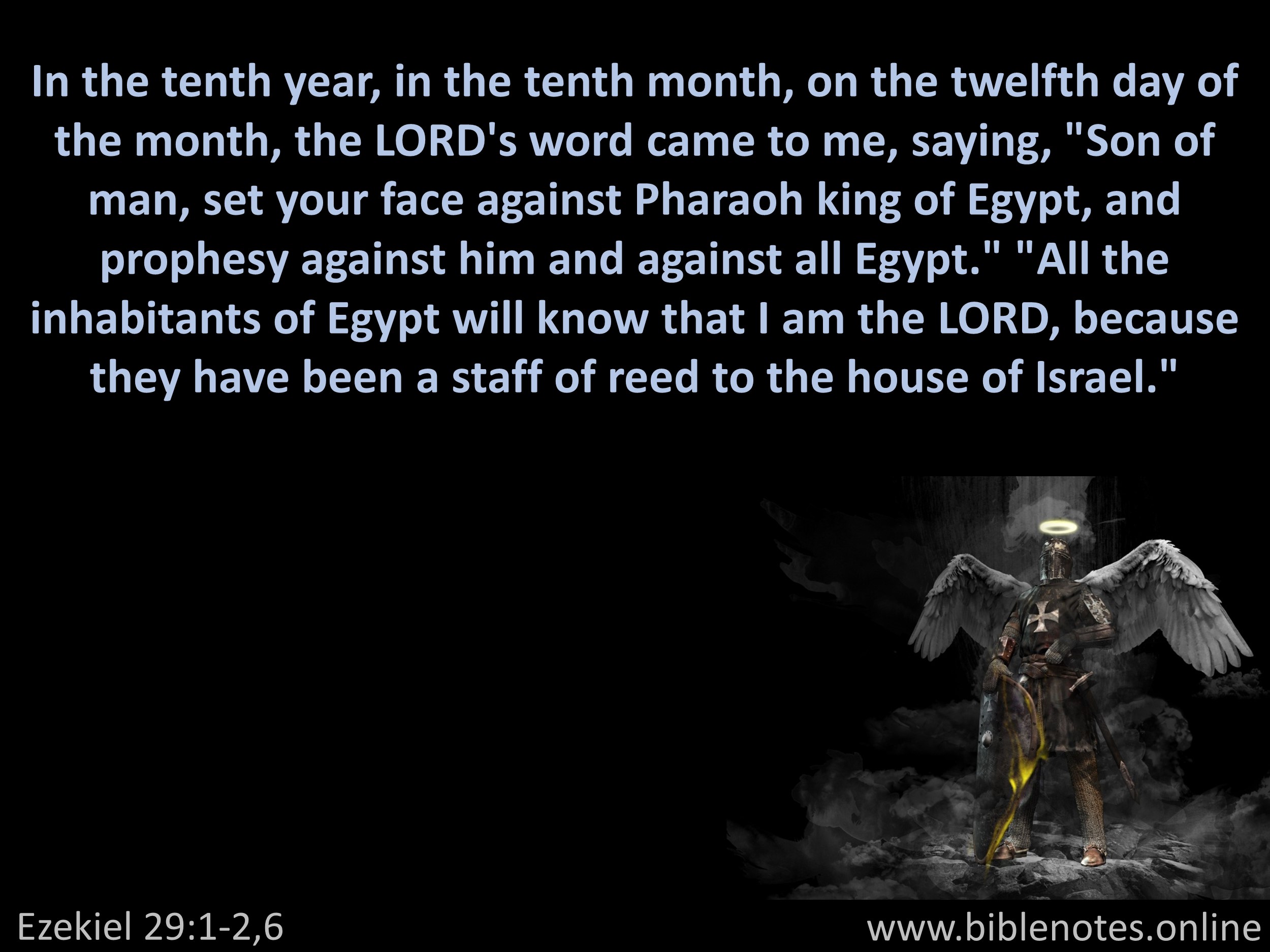 Bible Verse from Ezekiel Chapter 29