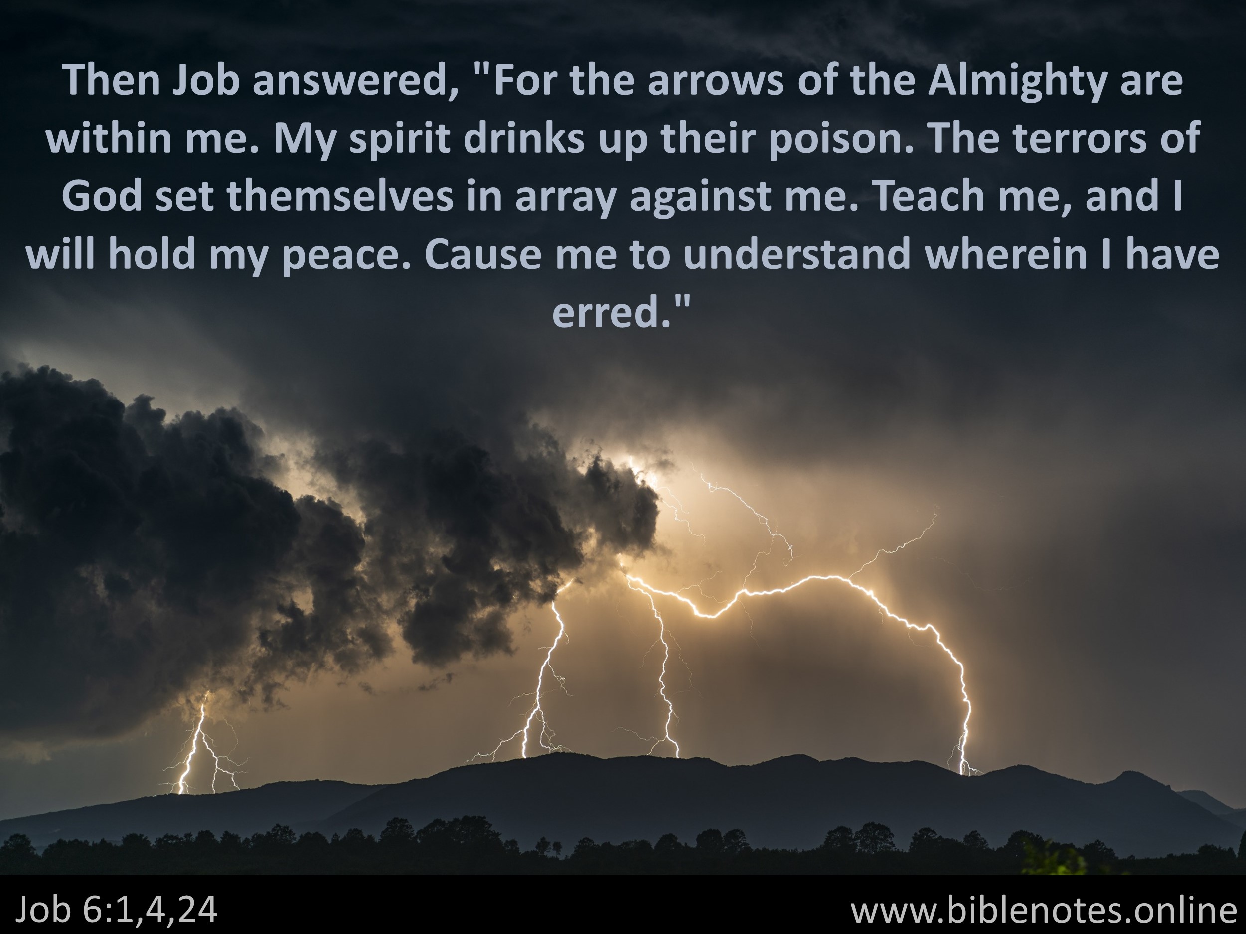 Bible Verse from Job Chapter 6