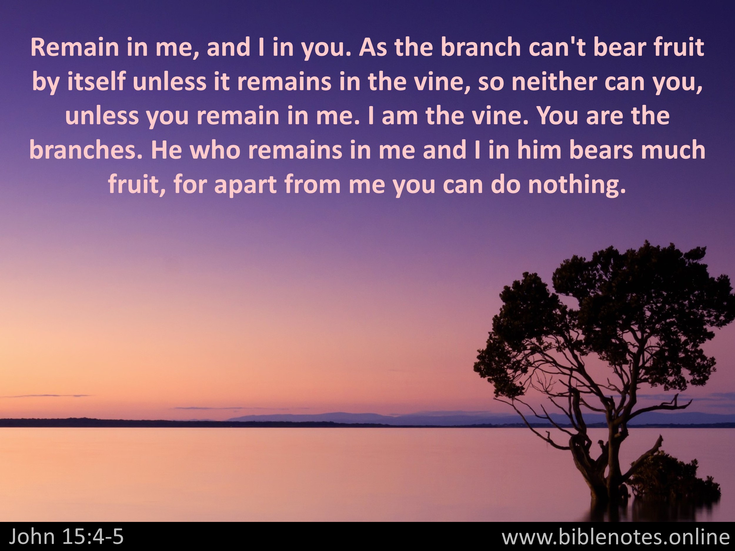 Bible Verse from John Chapter 15