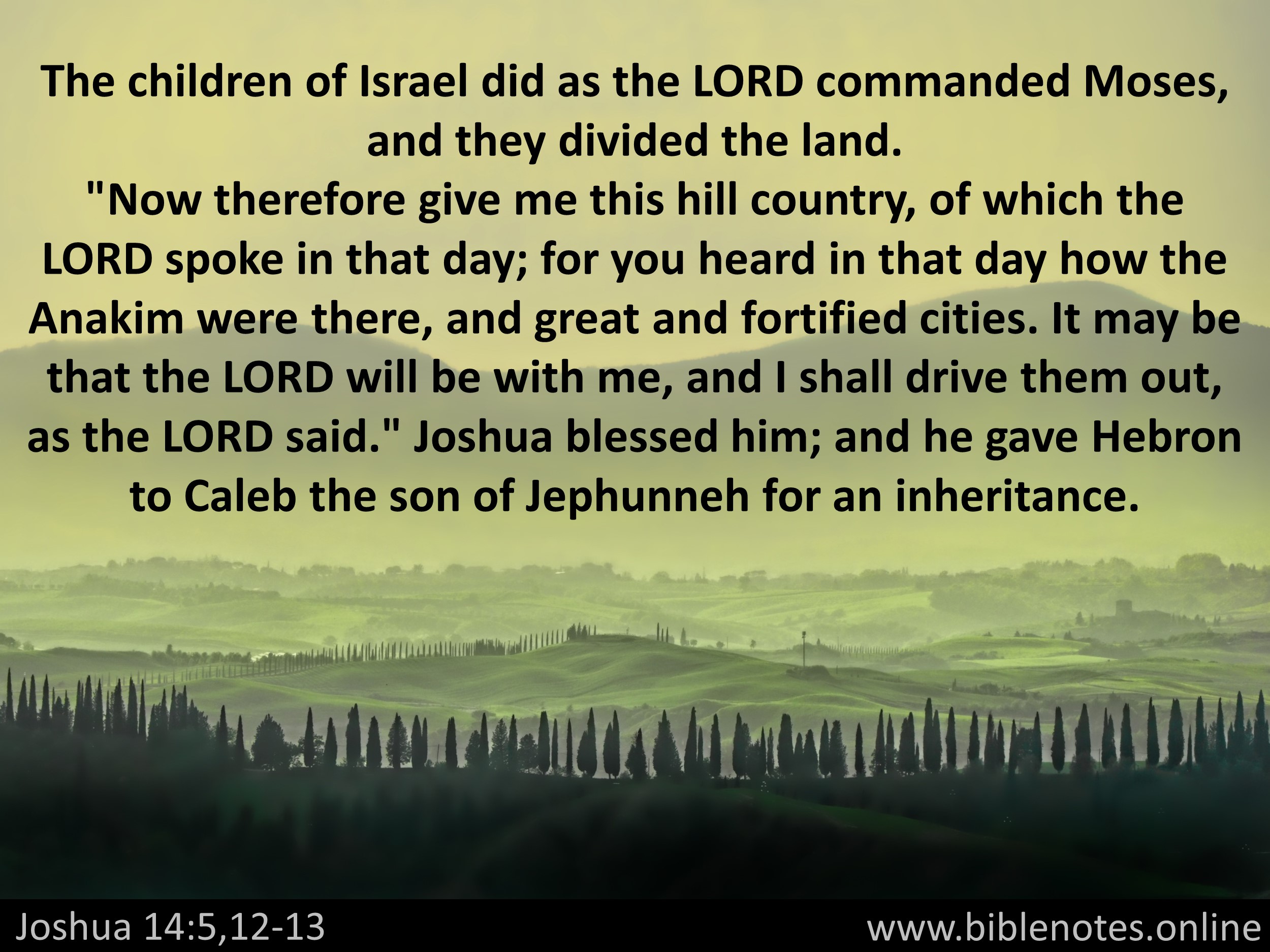 Bible Verse from Joshua Chapter 14