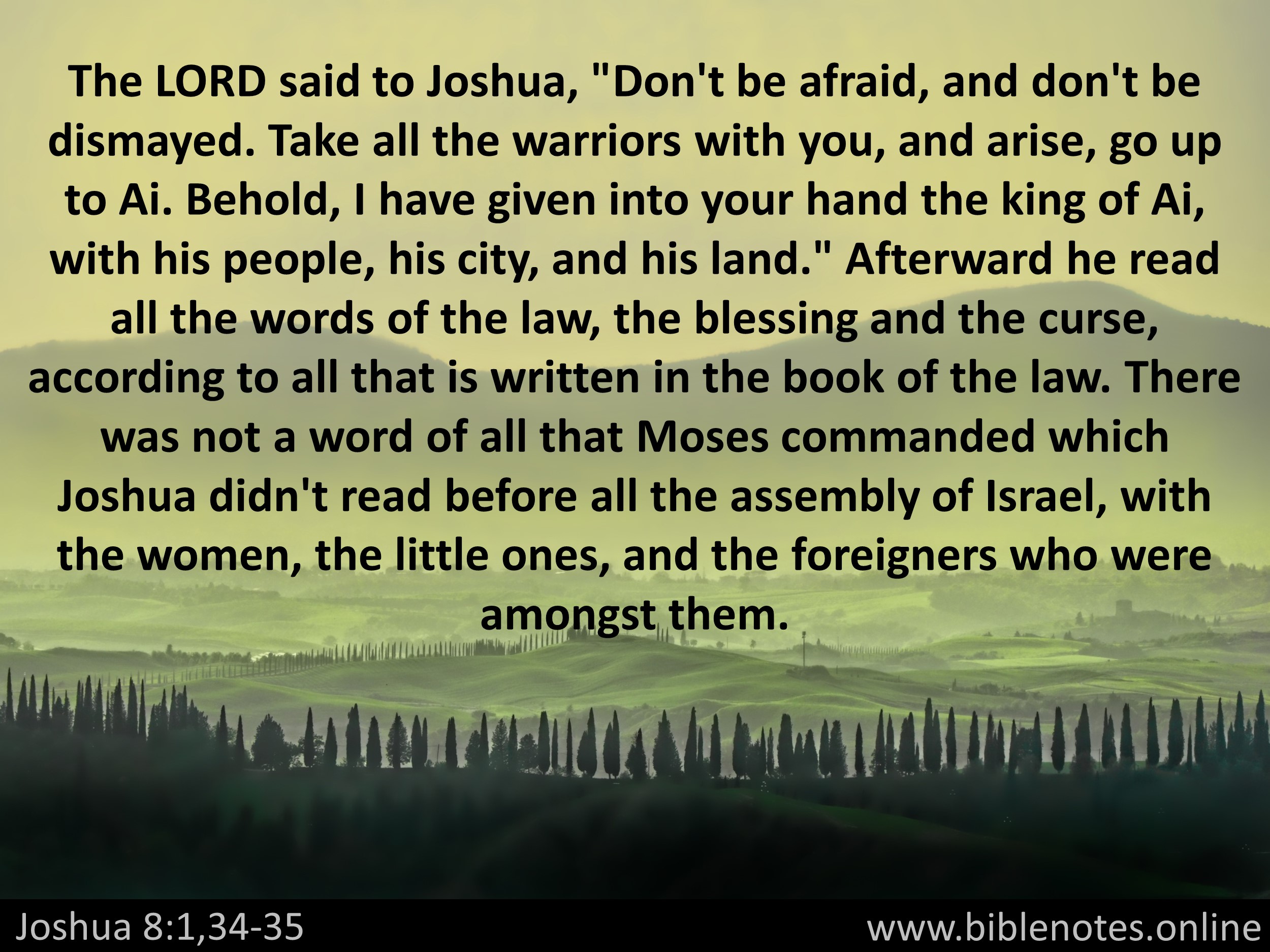Bible Verse from Joshua Chapter 8