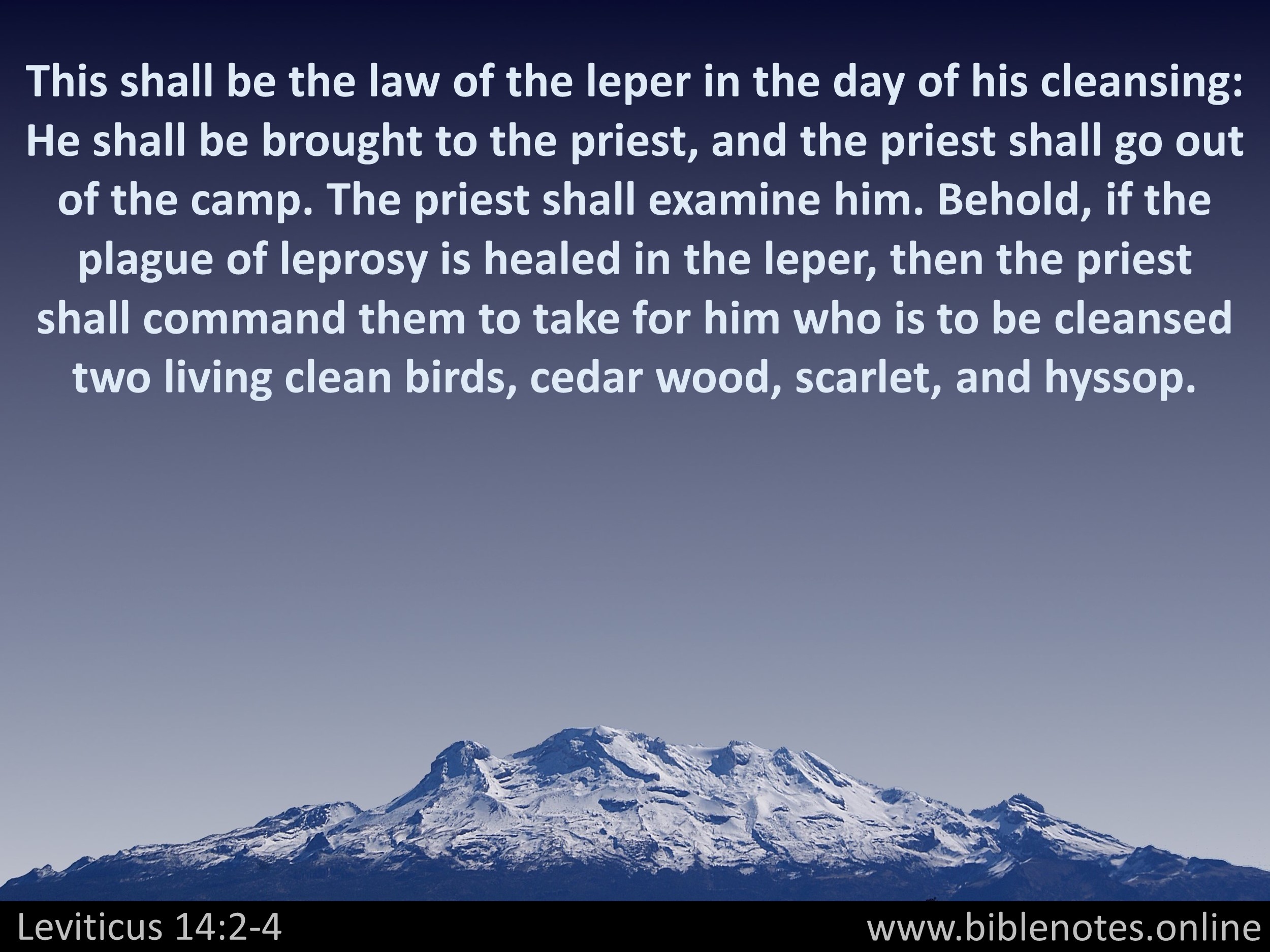 Bible Verse from Leviticus Chapter 14