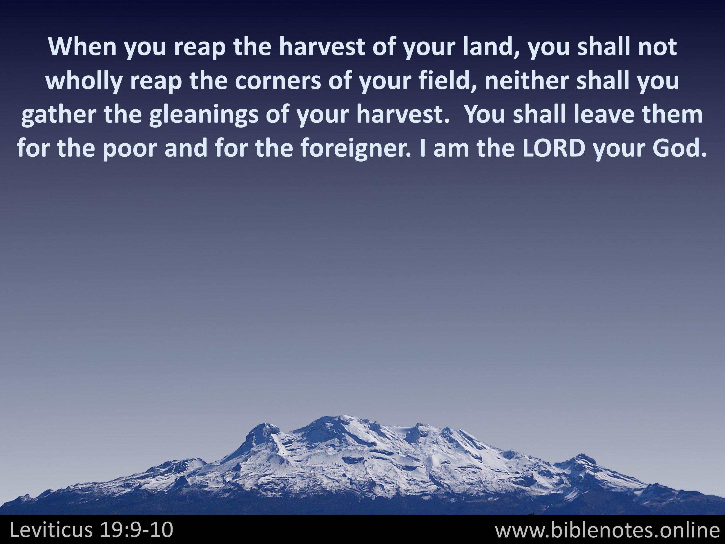 Bible Verse from Leviticus Chapter 19