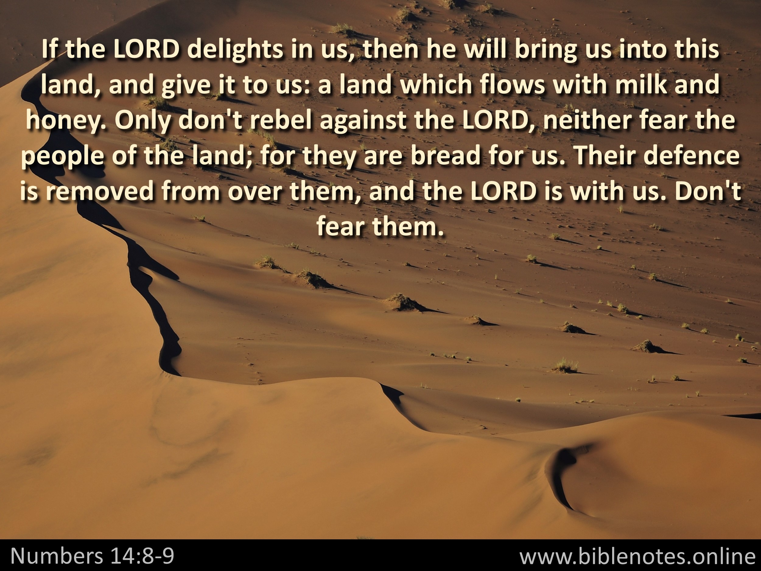 Bible Verse from Numbers Chapter 14