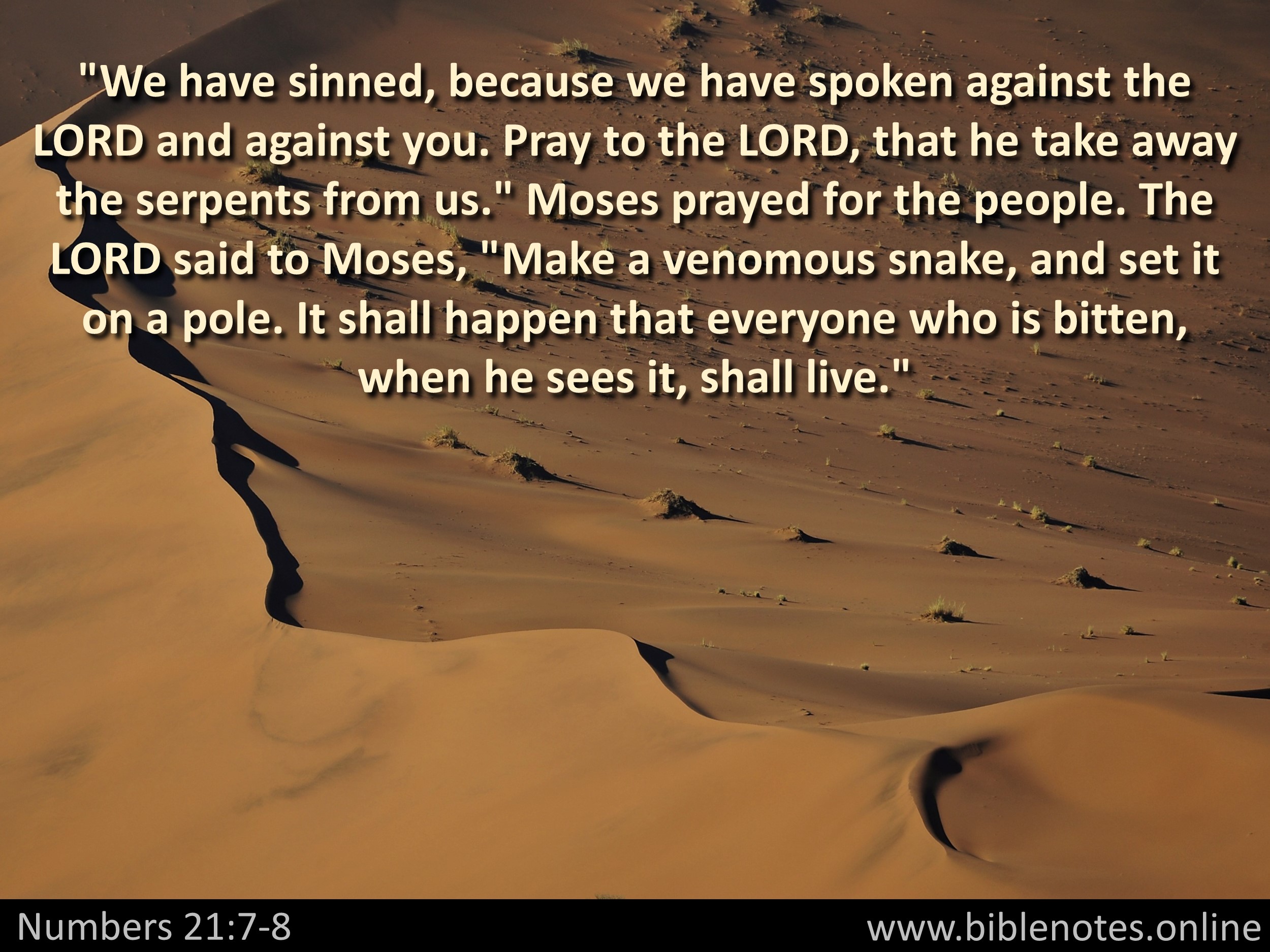 Bible Verse from Numbers Chapter 21