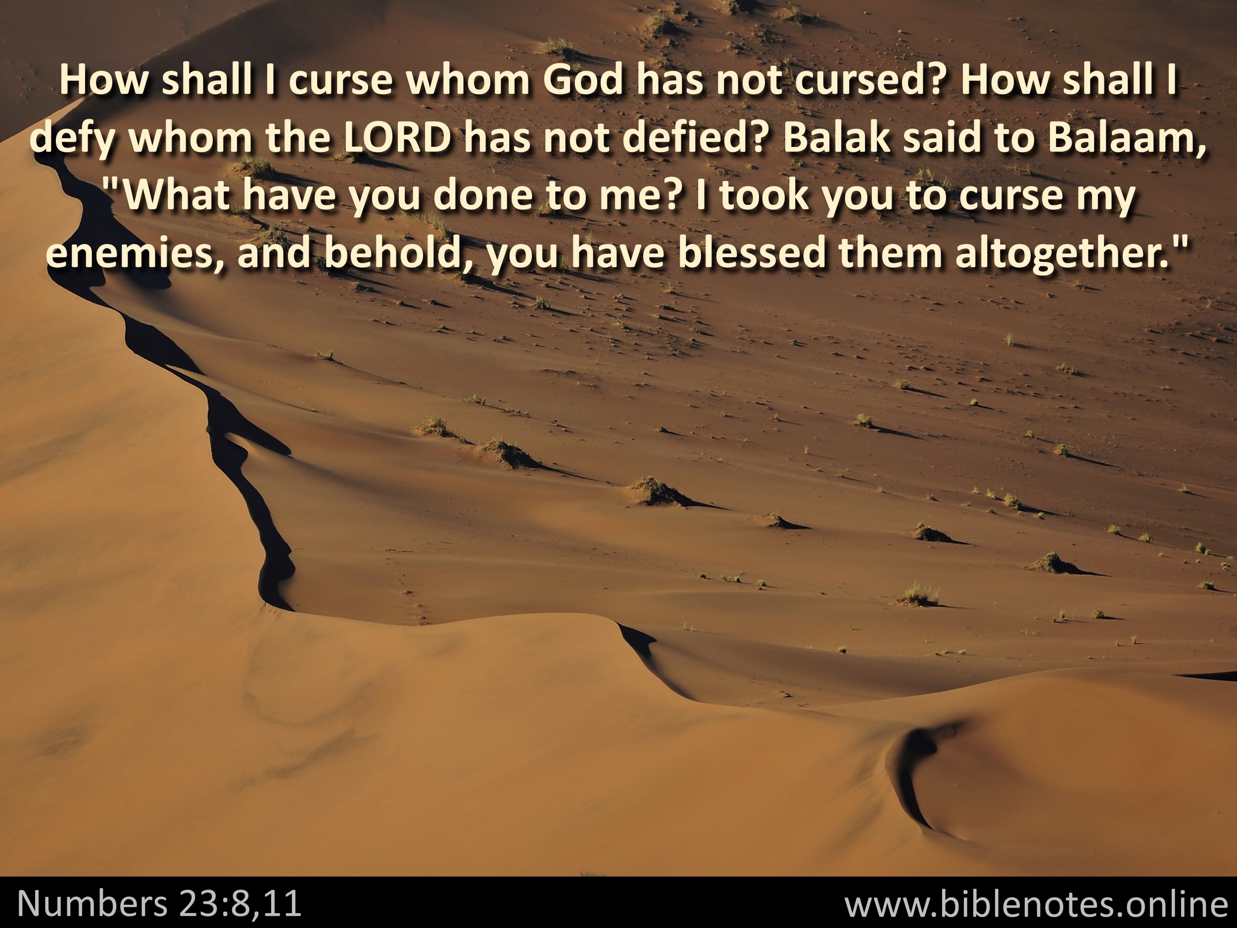 Bible Verse from Numbers Chapter 23