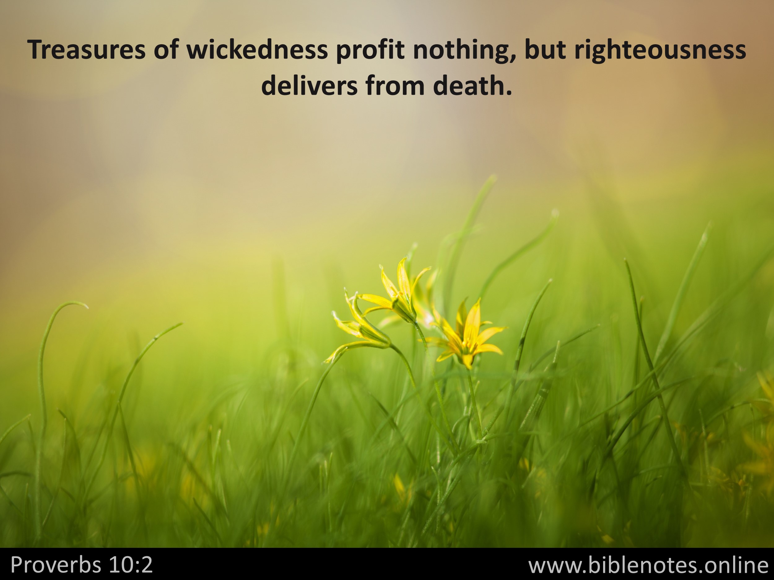 Bible Verse from Proverbs Chapter 10