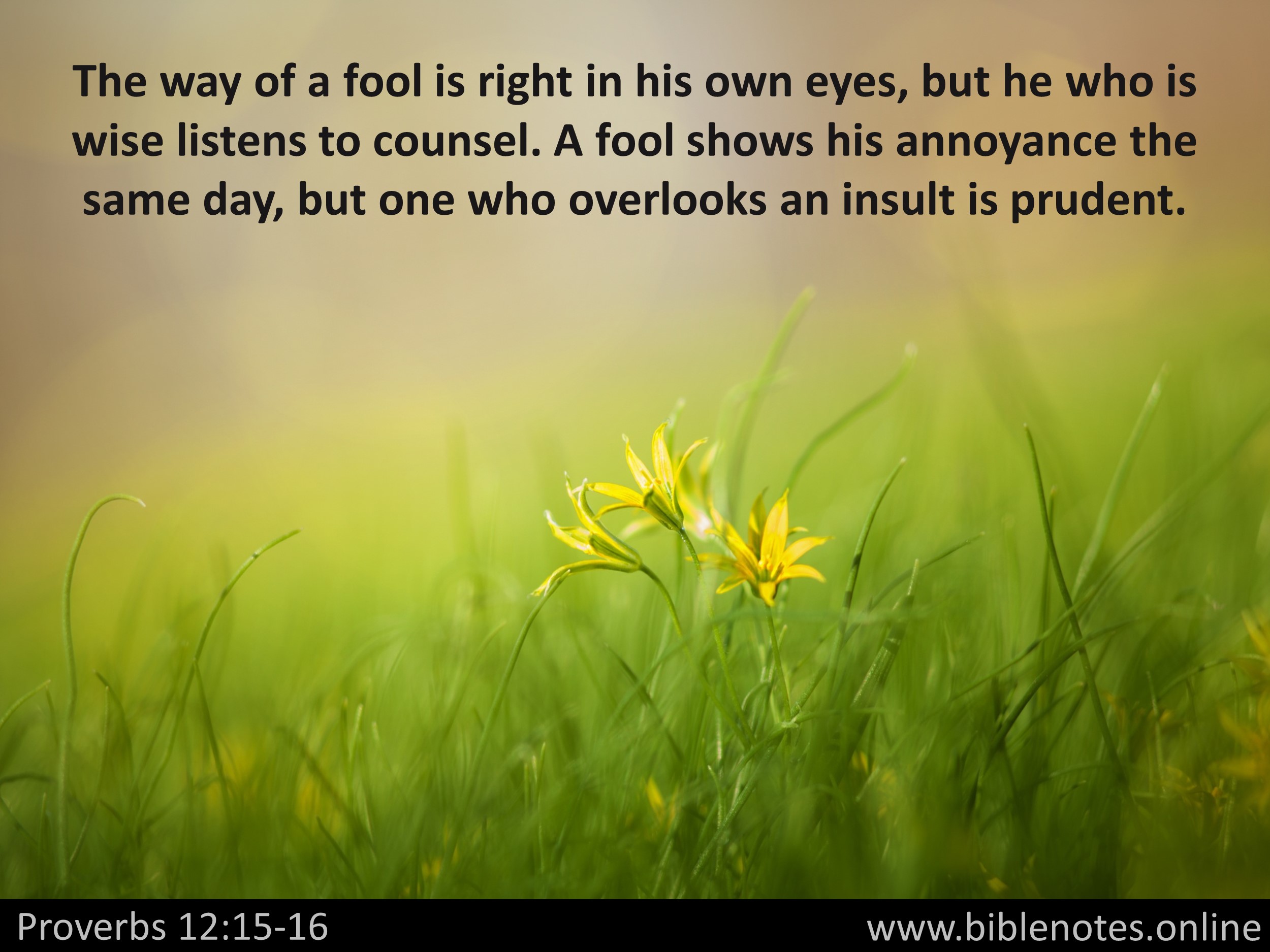 Bible Verse from Proverbs Chapter 12