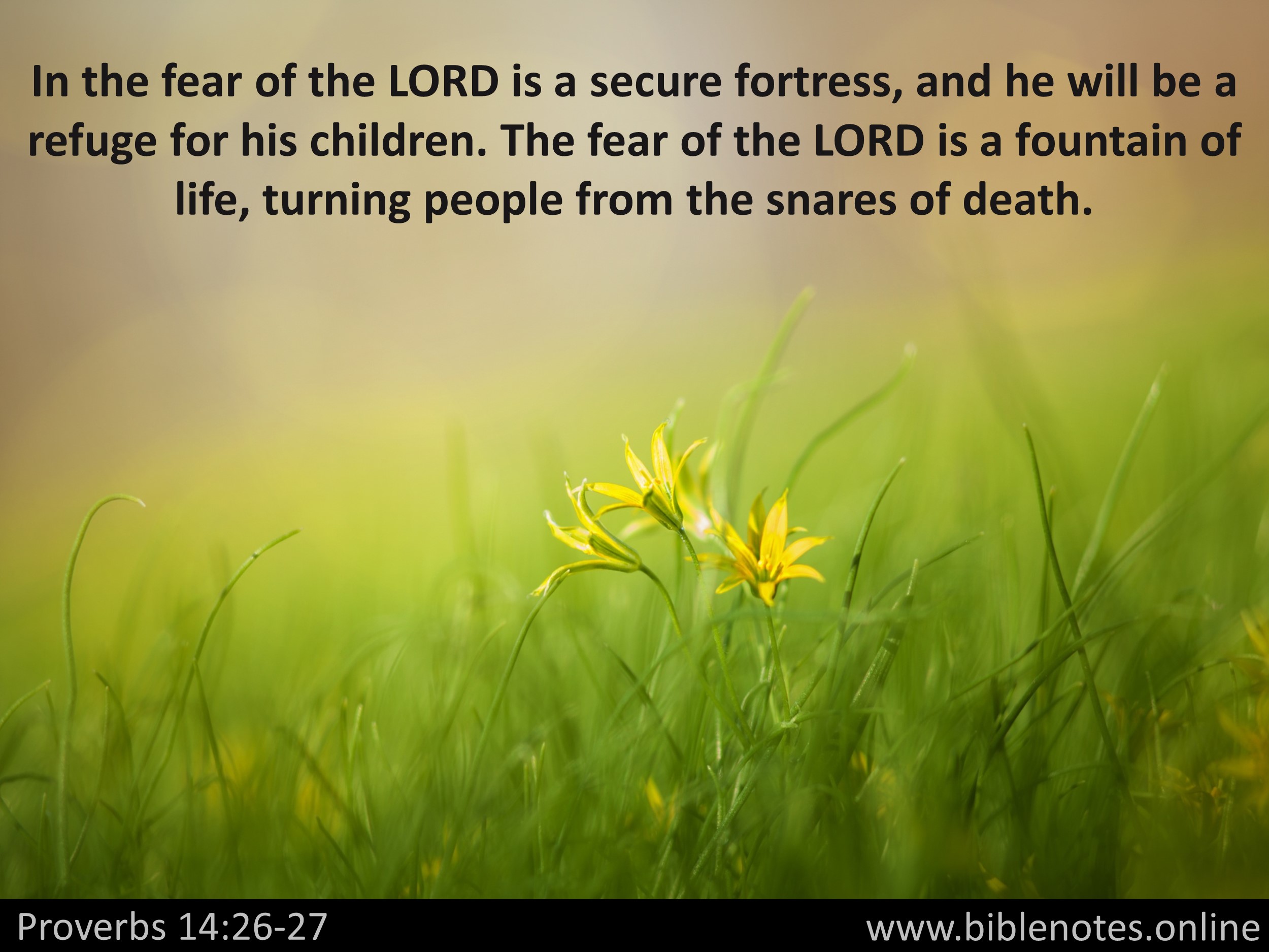 Bible Verse from Proverbs Chapter 14