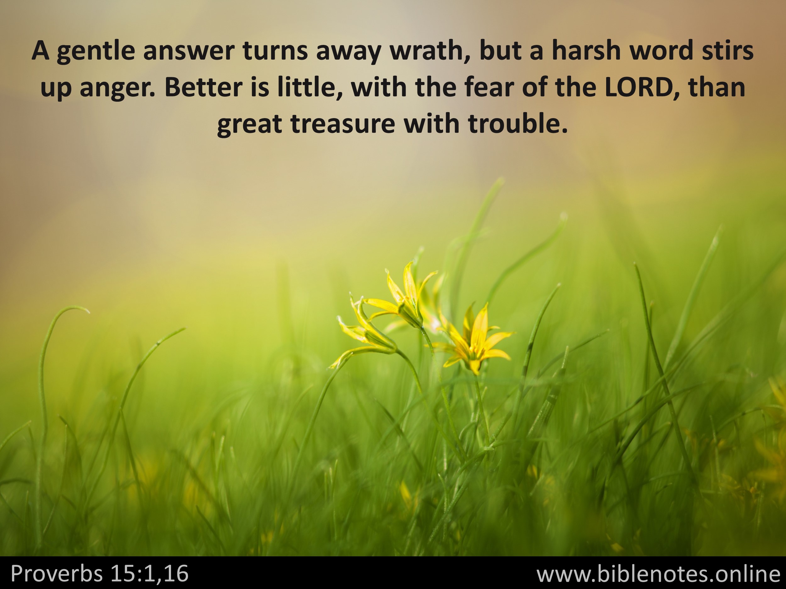 Bible Verse from Proverbs Chapter 15