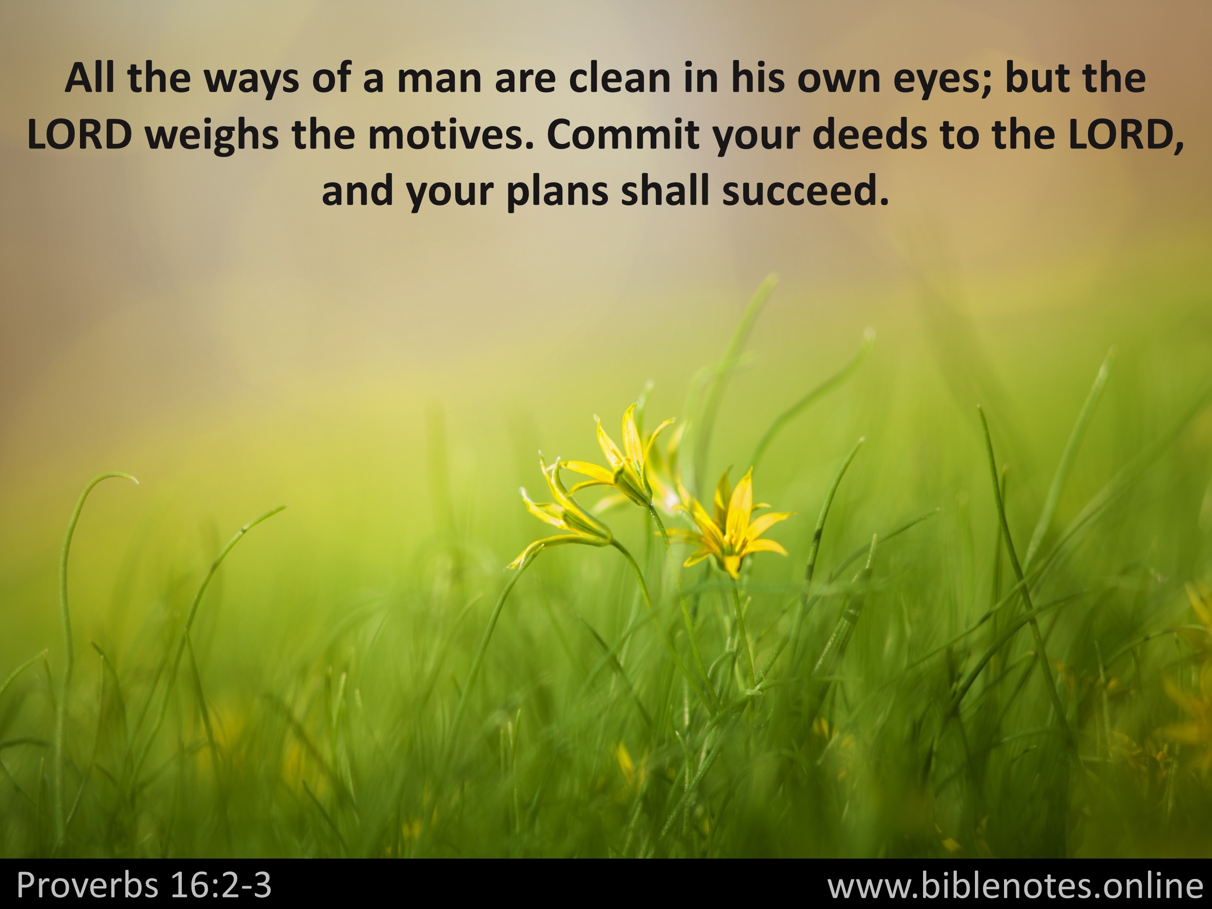 Bible Verse from Proverbs Chapter 16