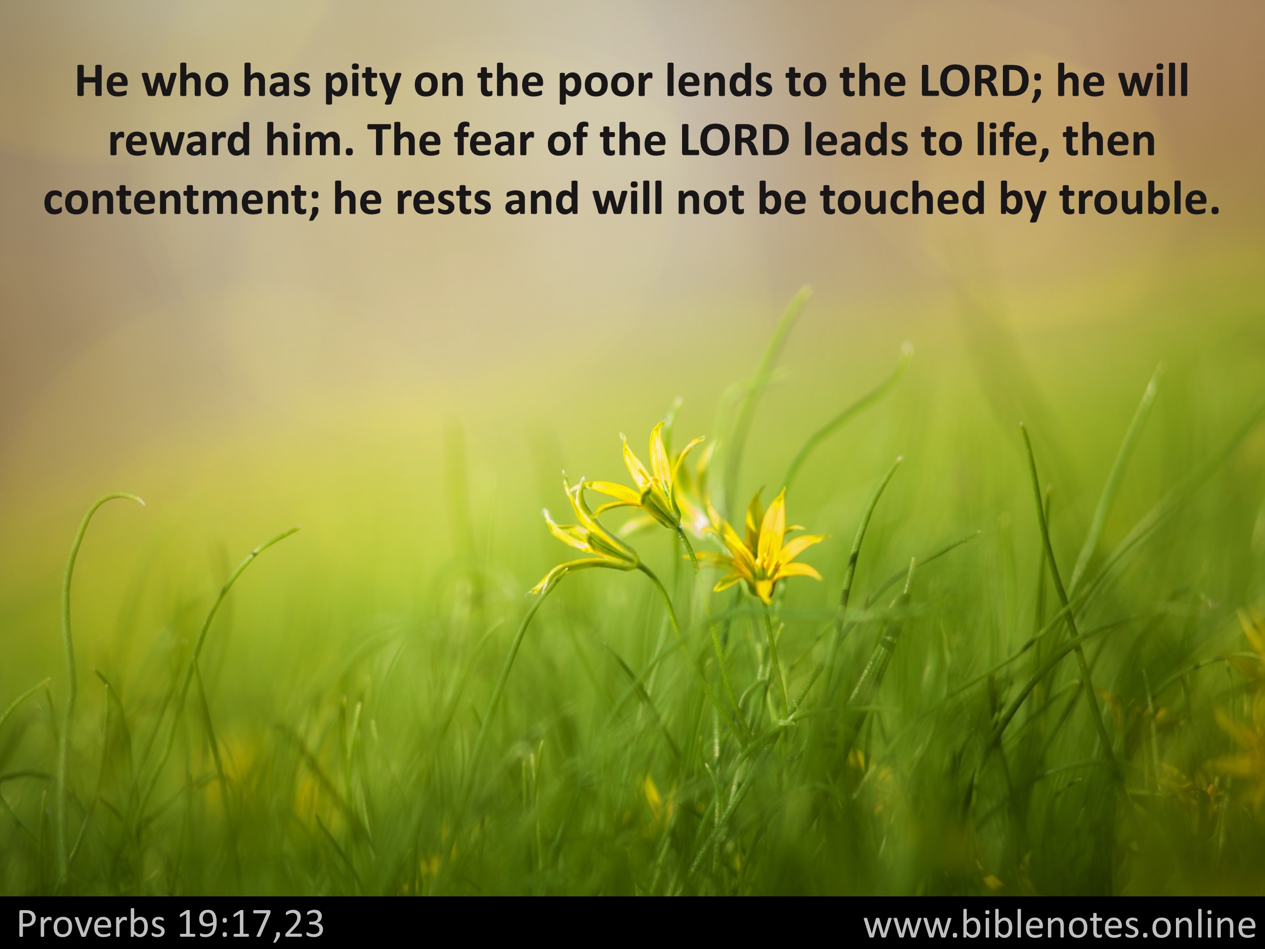 Bible Verse from Proverbs Chapter 19