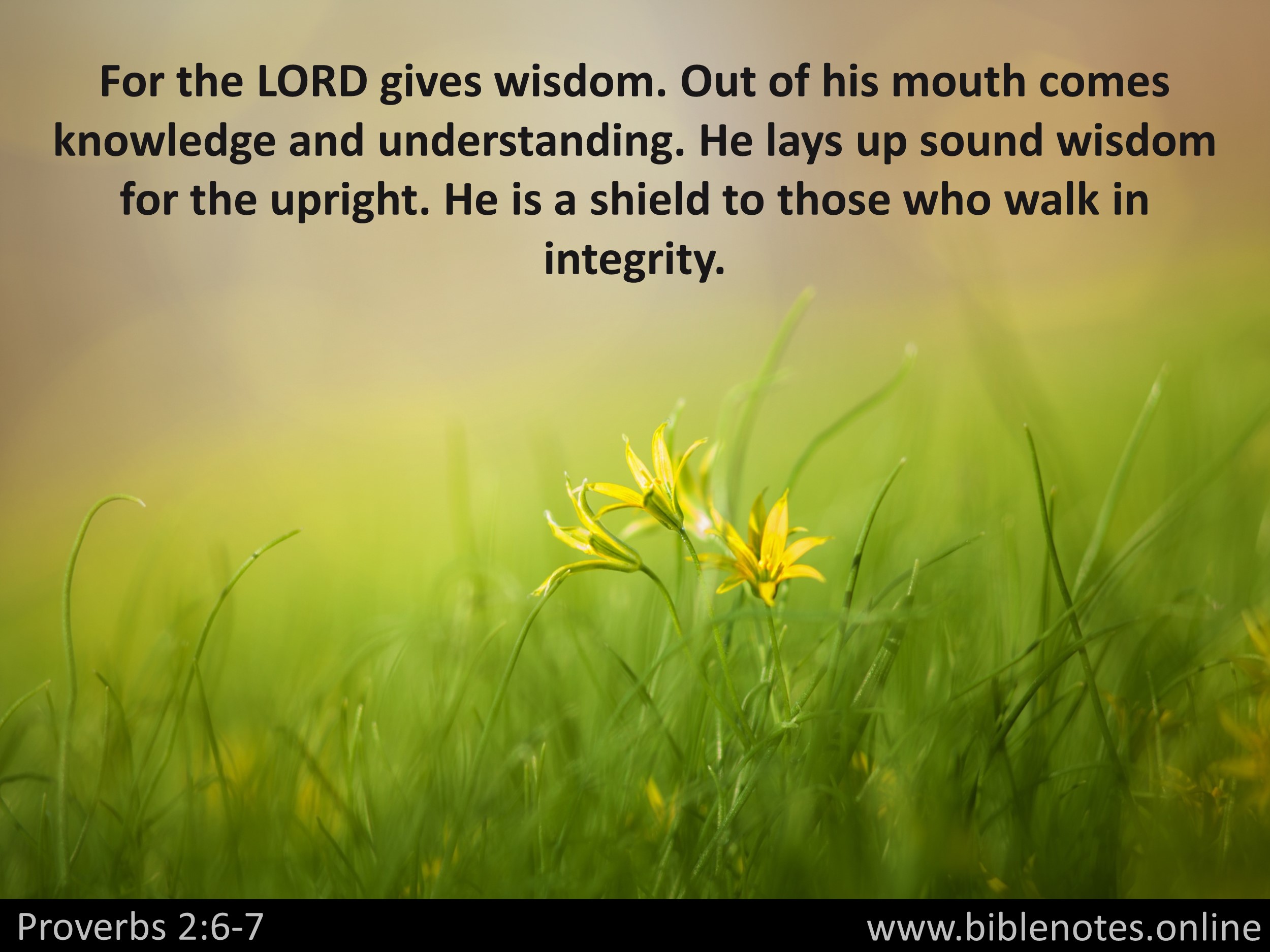 Bible Verse from Proverbs Chapter 2