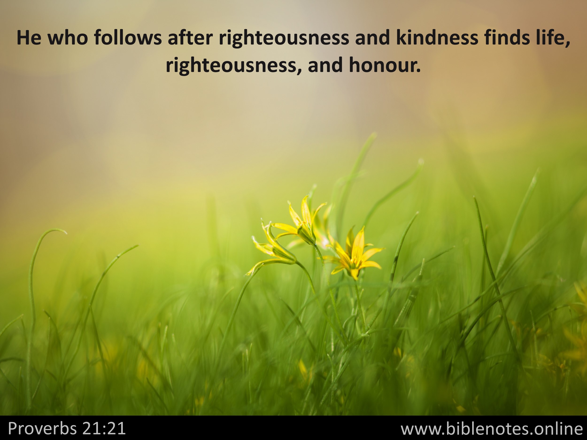 Bible Verse from Proverbs Chapter 21