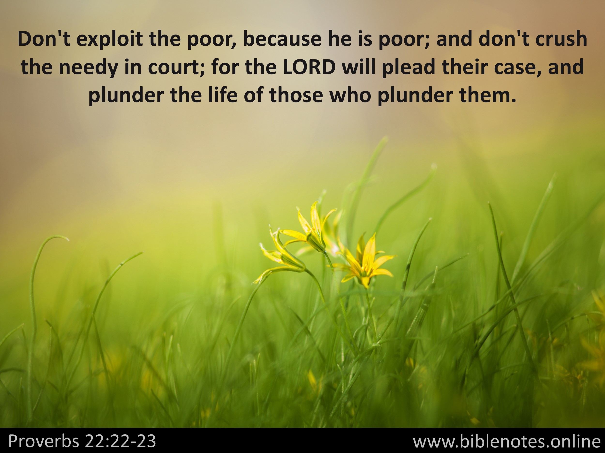 Bible Verse from Proverbs Chapter 22