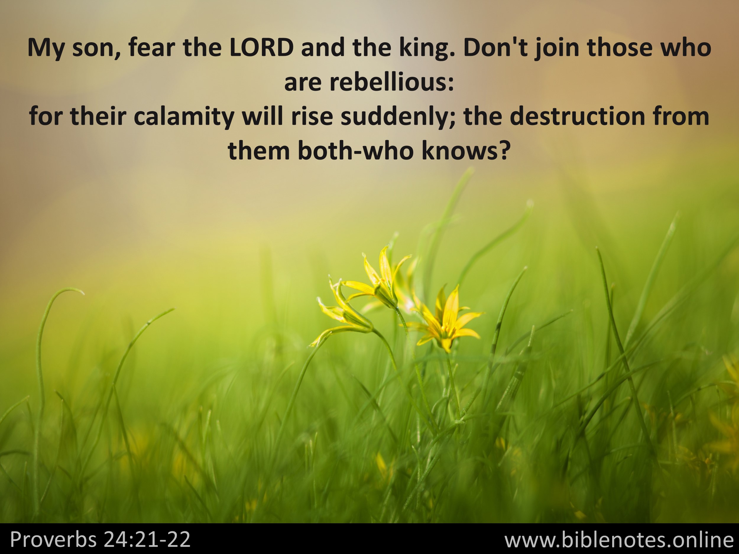 Bible Verse from Proverbs Chapter 24