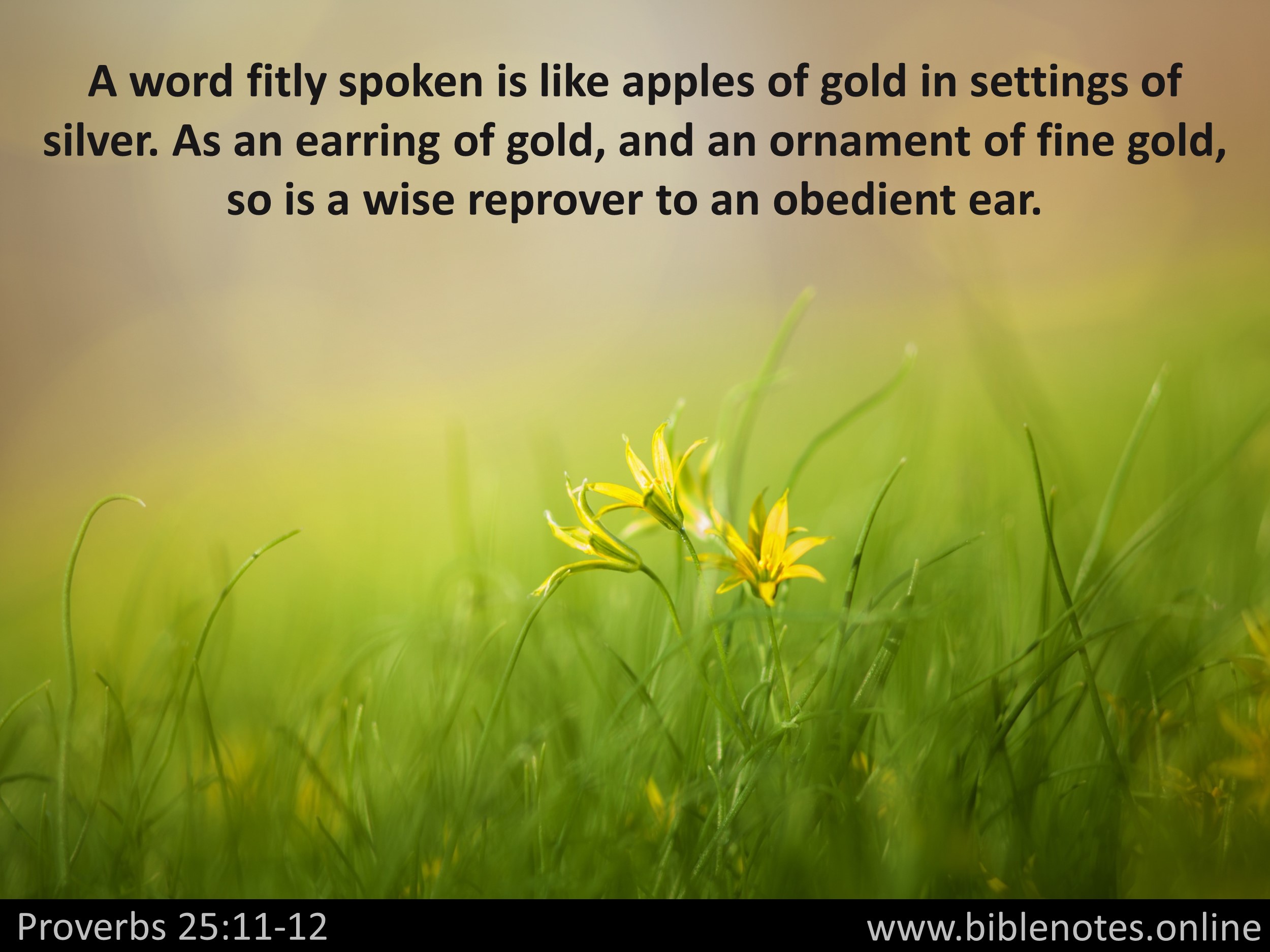 Bible Verse from Proverbs Chapter 25