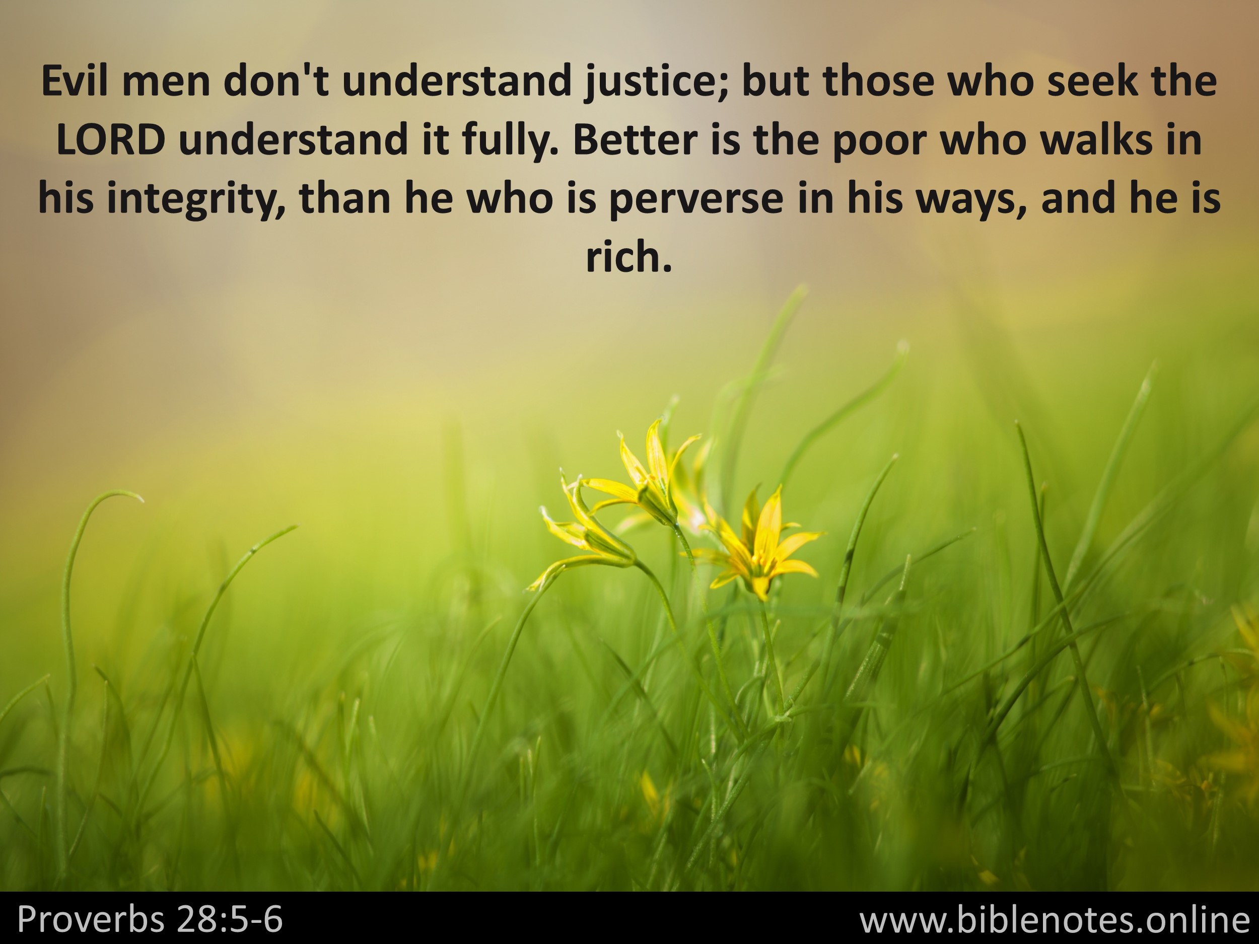 Bible Verse from Proverbs Chapter 28