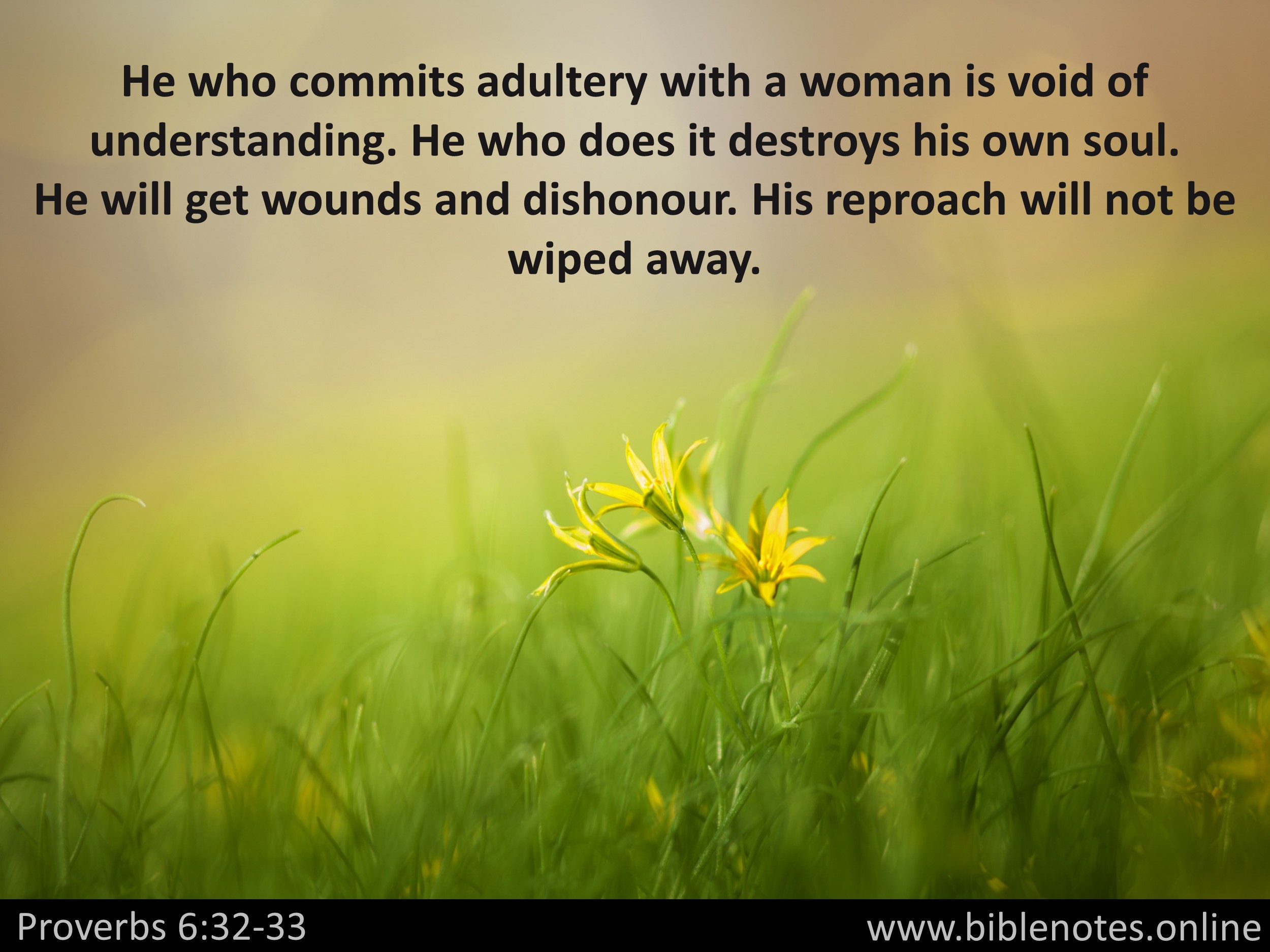 Bible Verse from Proverbs Chapter 6