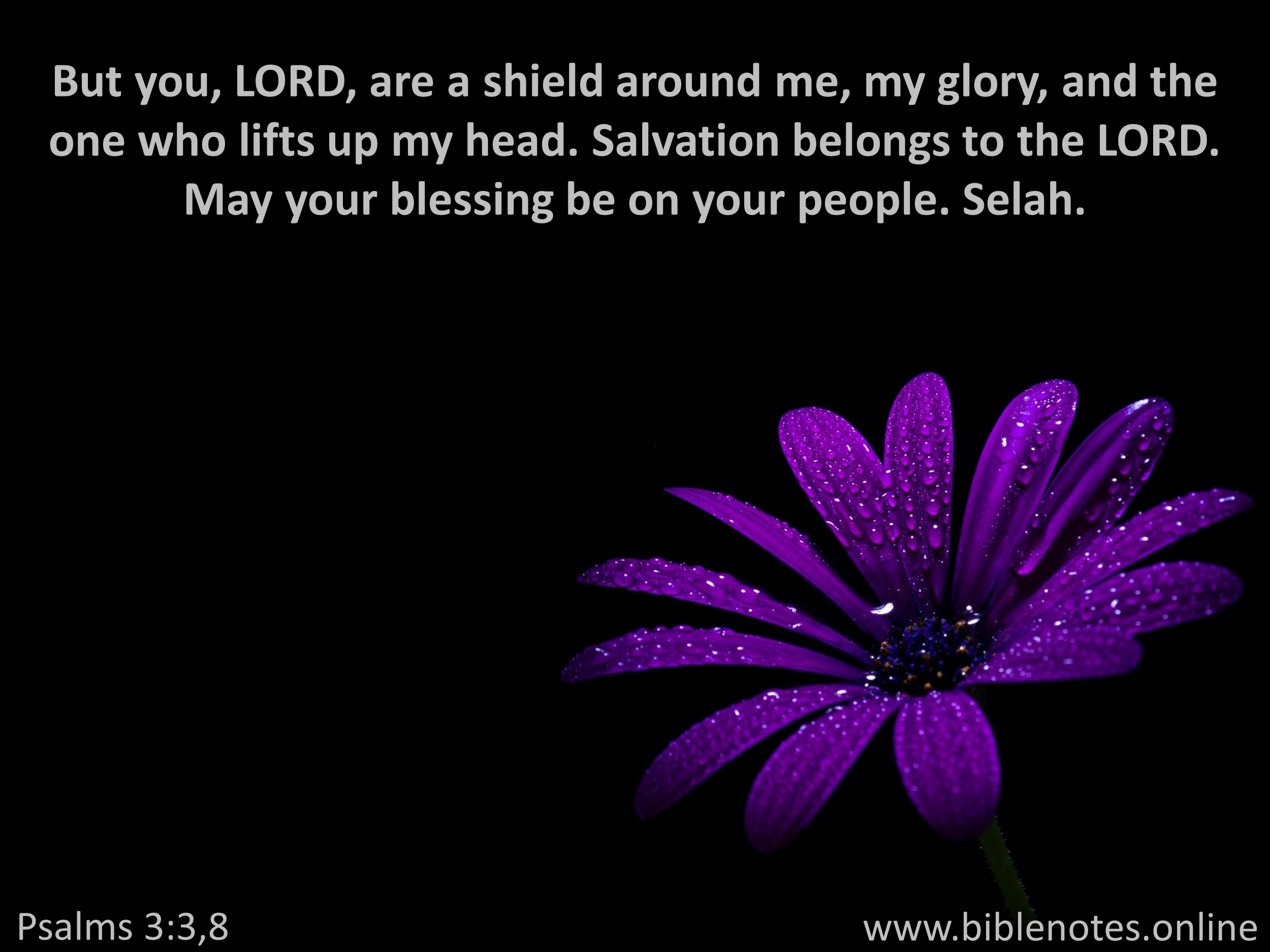 Bible Verse from Psalms Chapter 3
