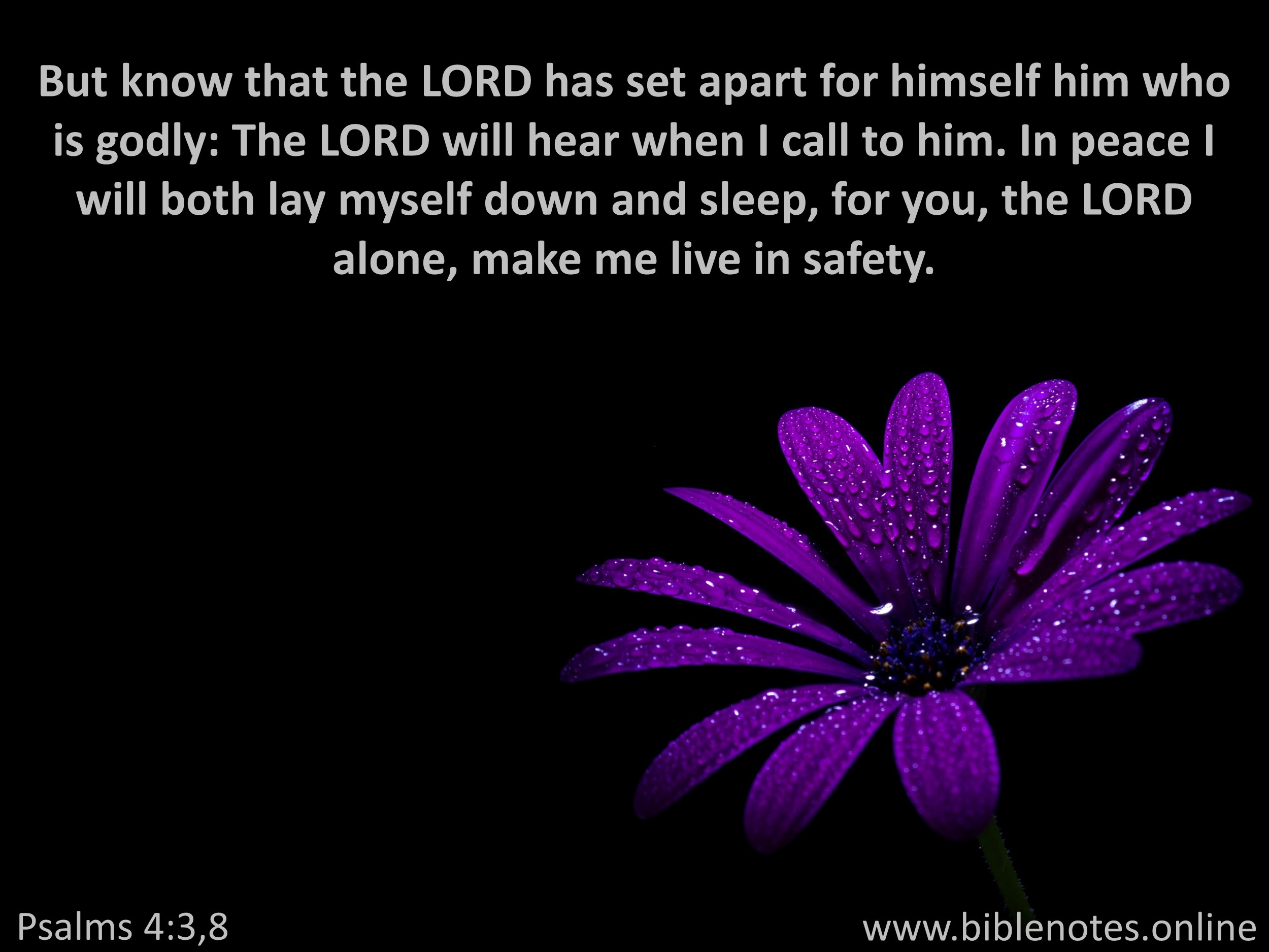 Bible Verse from Psalms Chapter 4