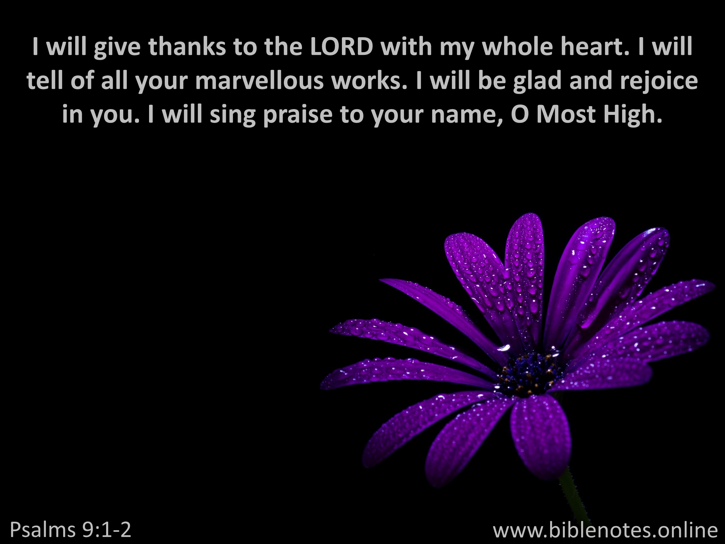 Bible Verse from Psalms Chapter 9
