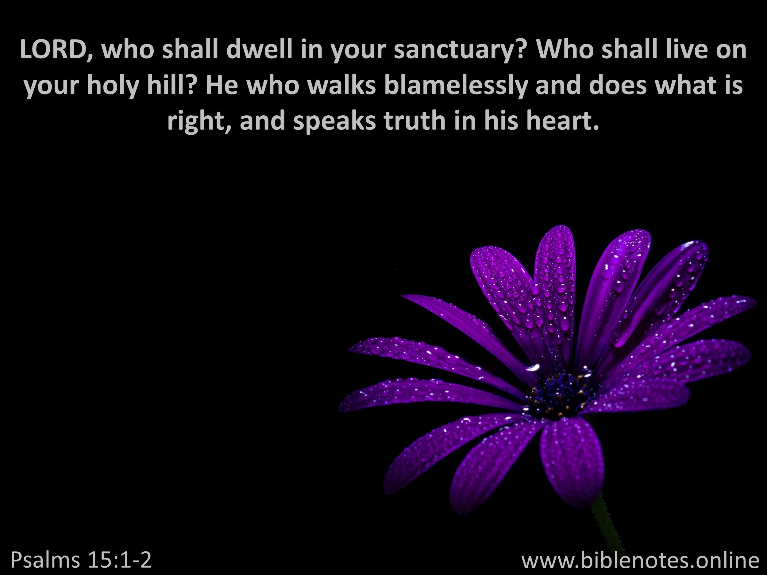 Bible Verse from Psalms Chapter 15