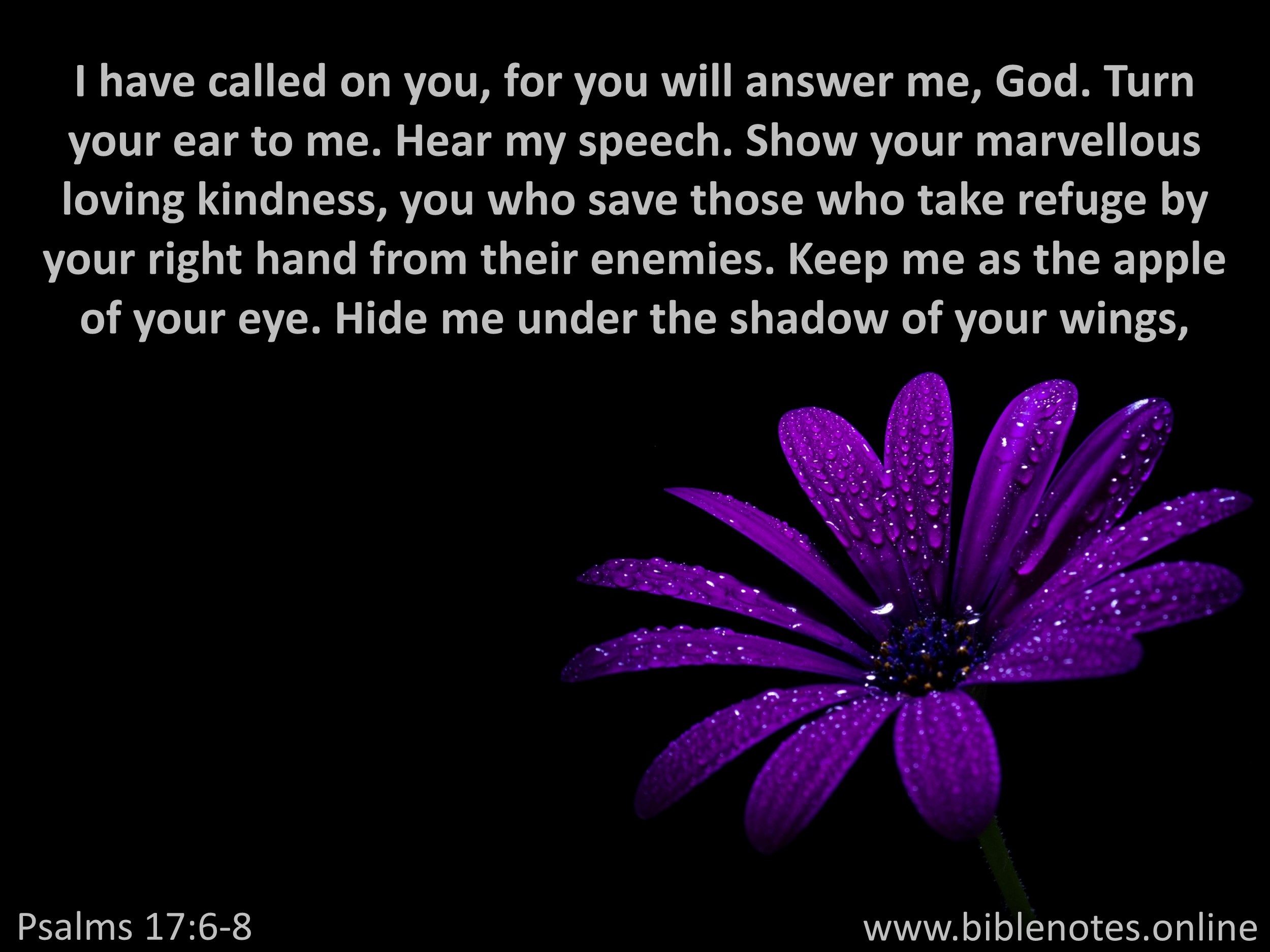 Bible Verse from Psalms Chapter 17