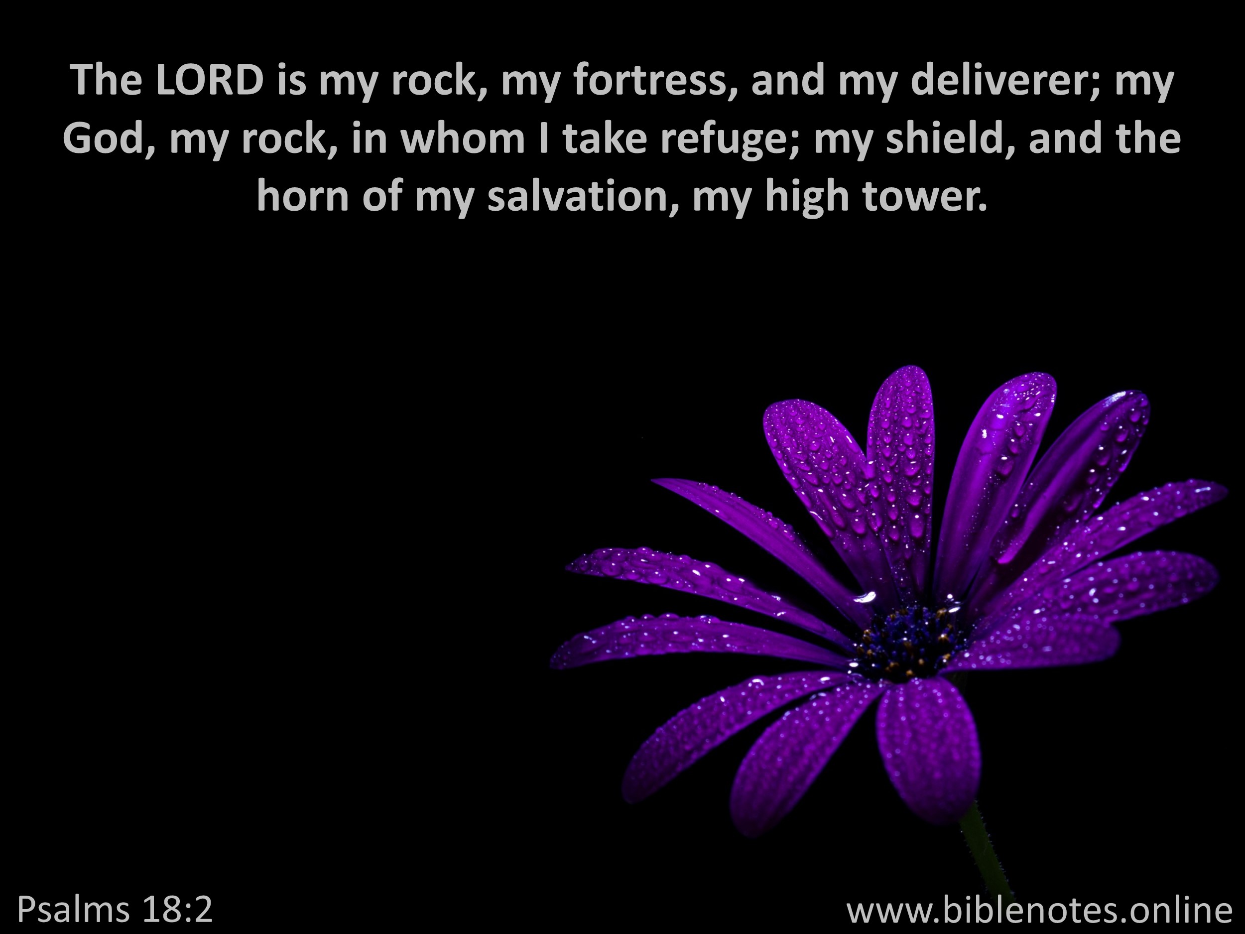 Bible Verse from Psalms Chapter 18