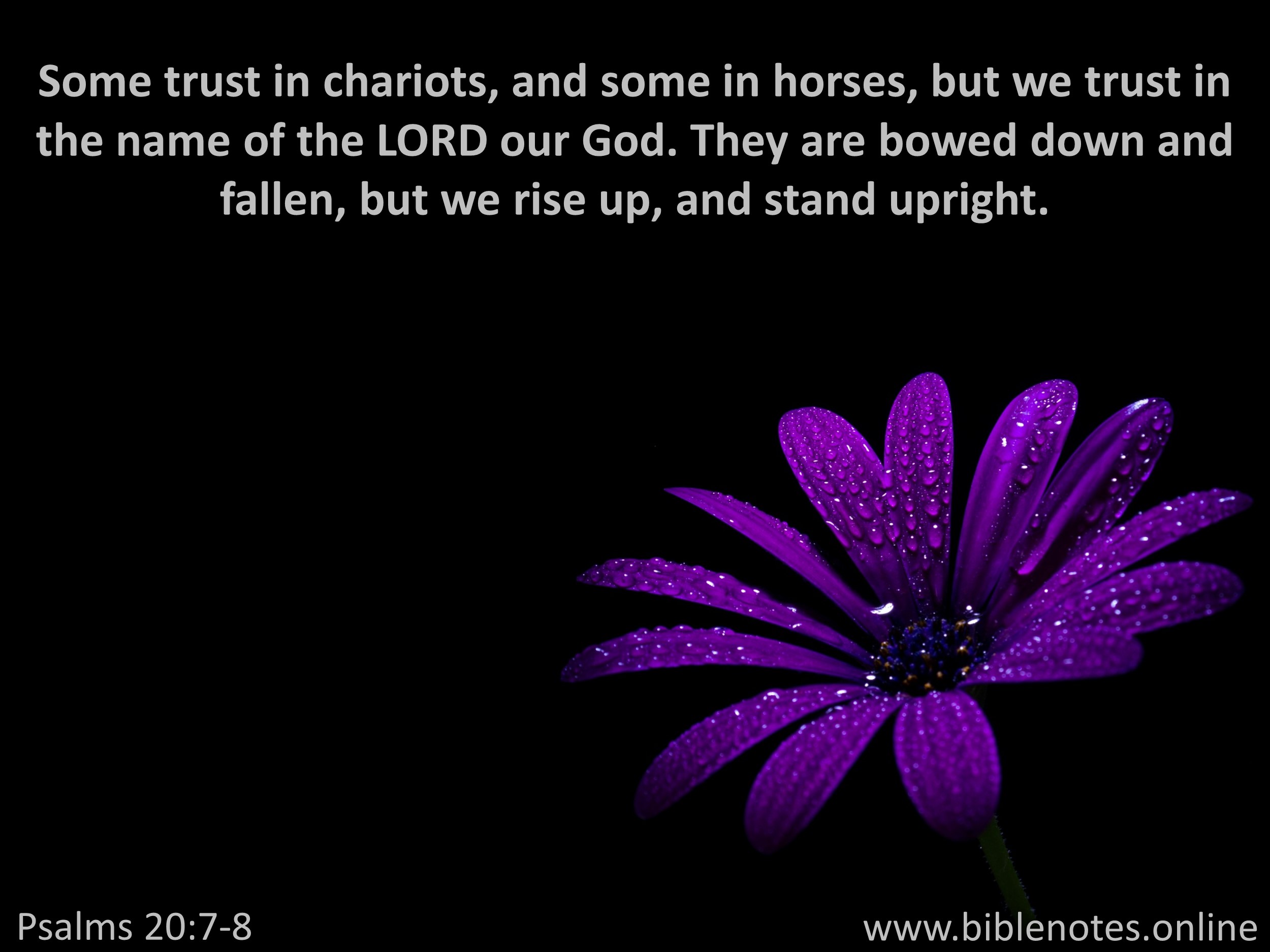 Bible Verse from Psalms Chapter 20