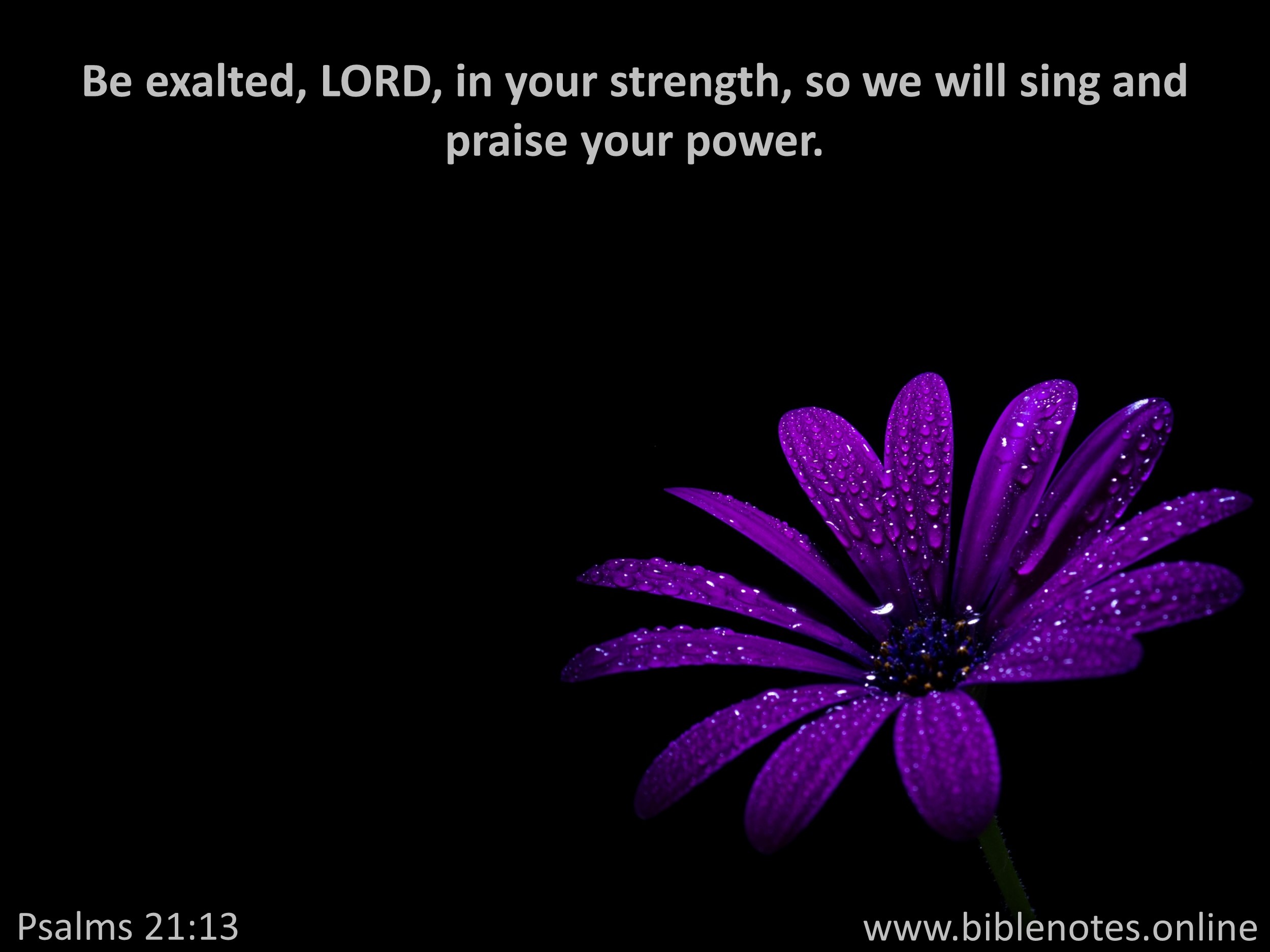 Bible Verse from Psalms Chapter 21