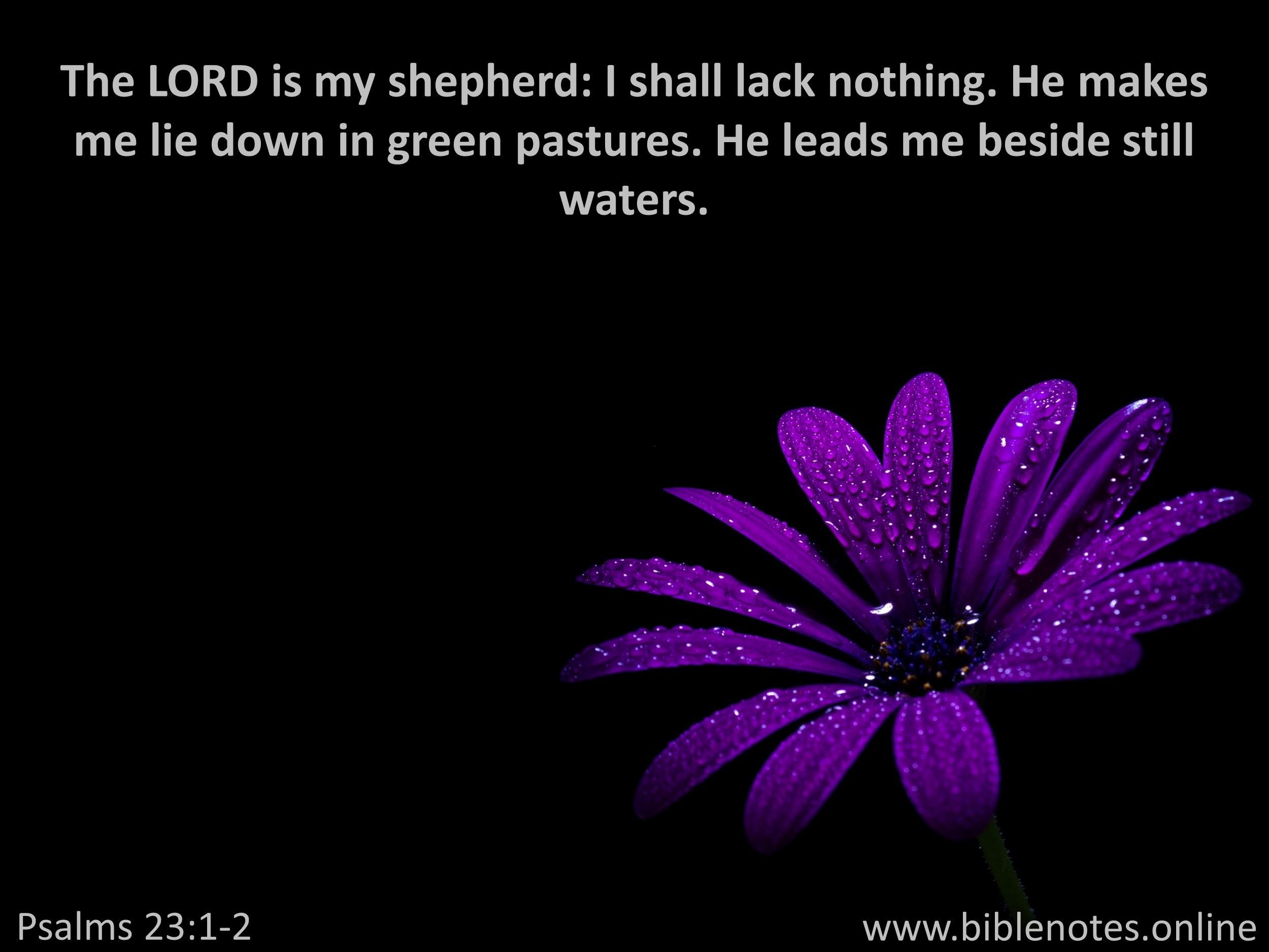 Bible Verse from Psalms Chapter 23