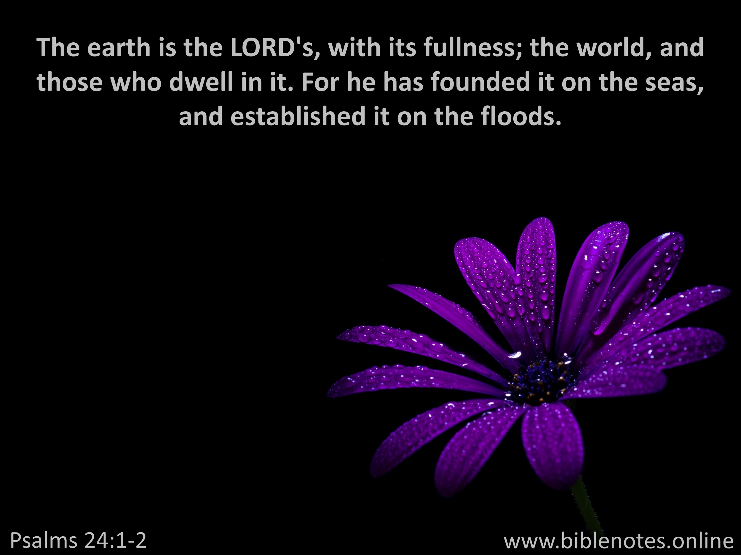 Bible Verse from Psalms Chapter 24