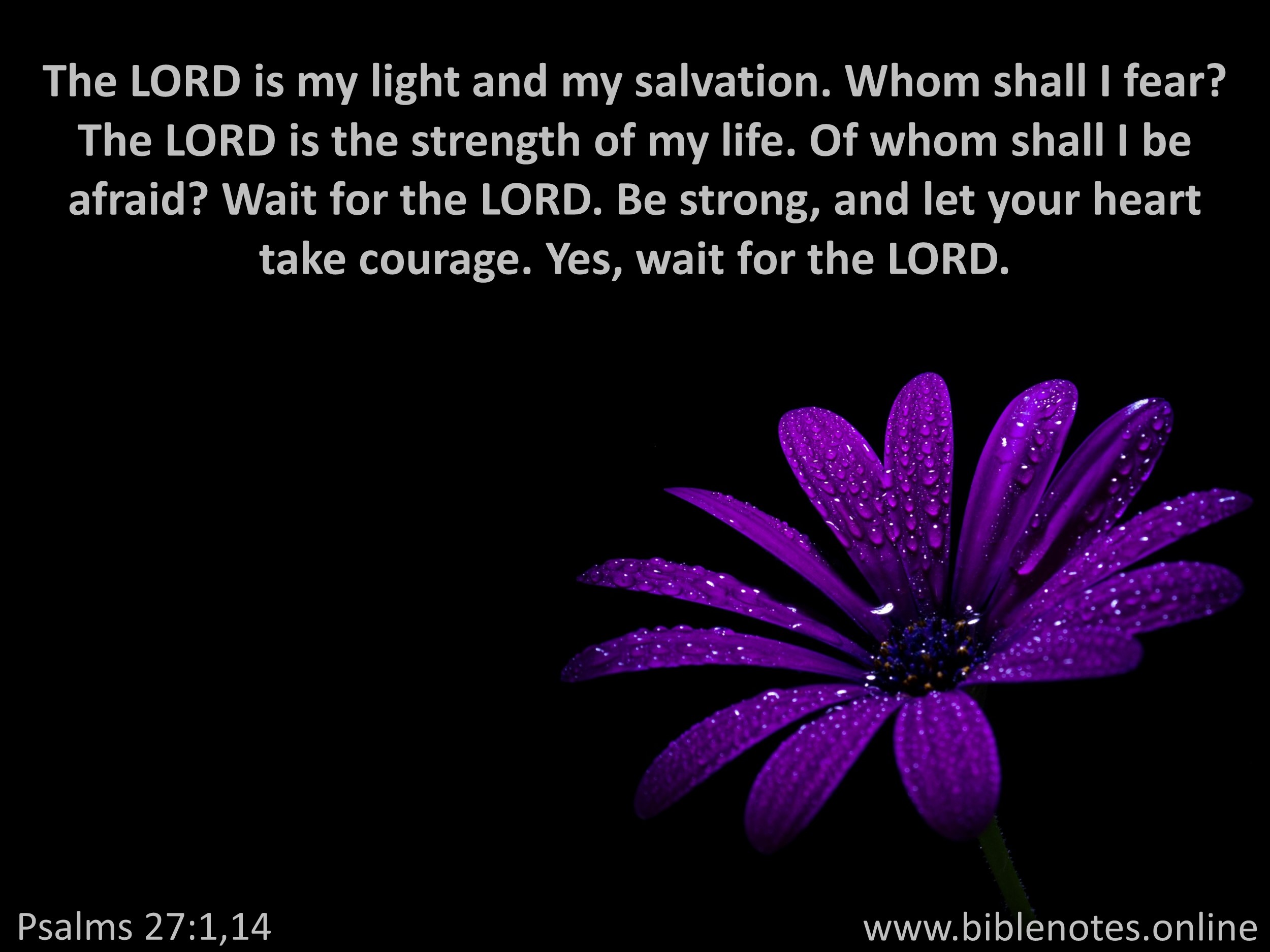 Bible Verse from Psalms Chapter 27