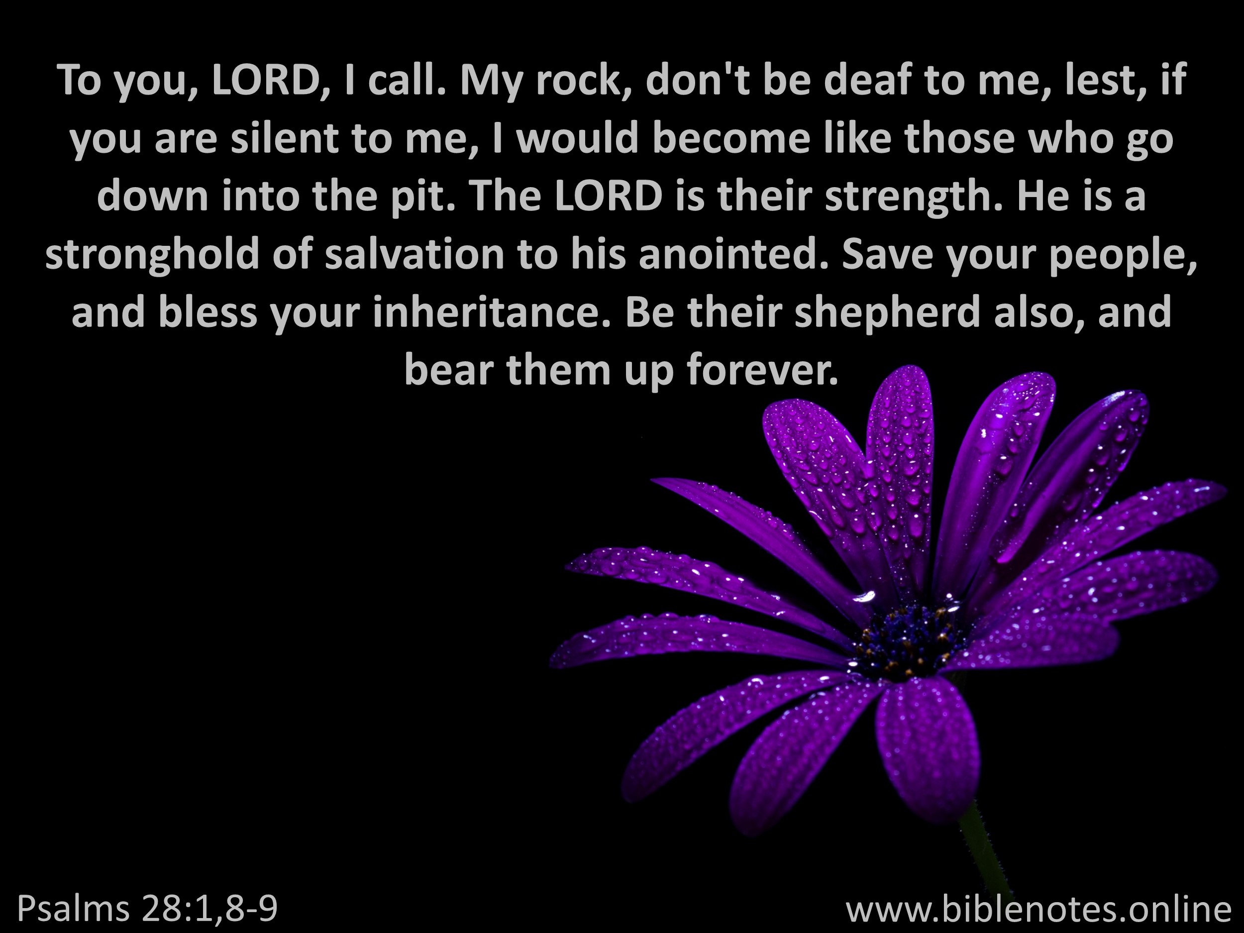 Bible Verse from Psalms Chapter 28