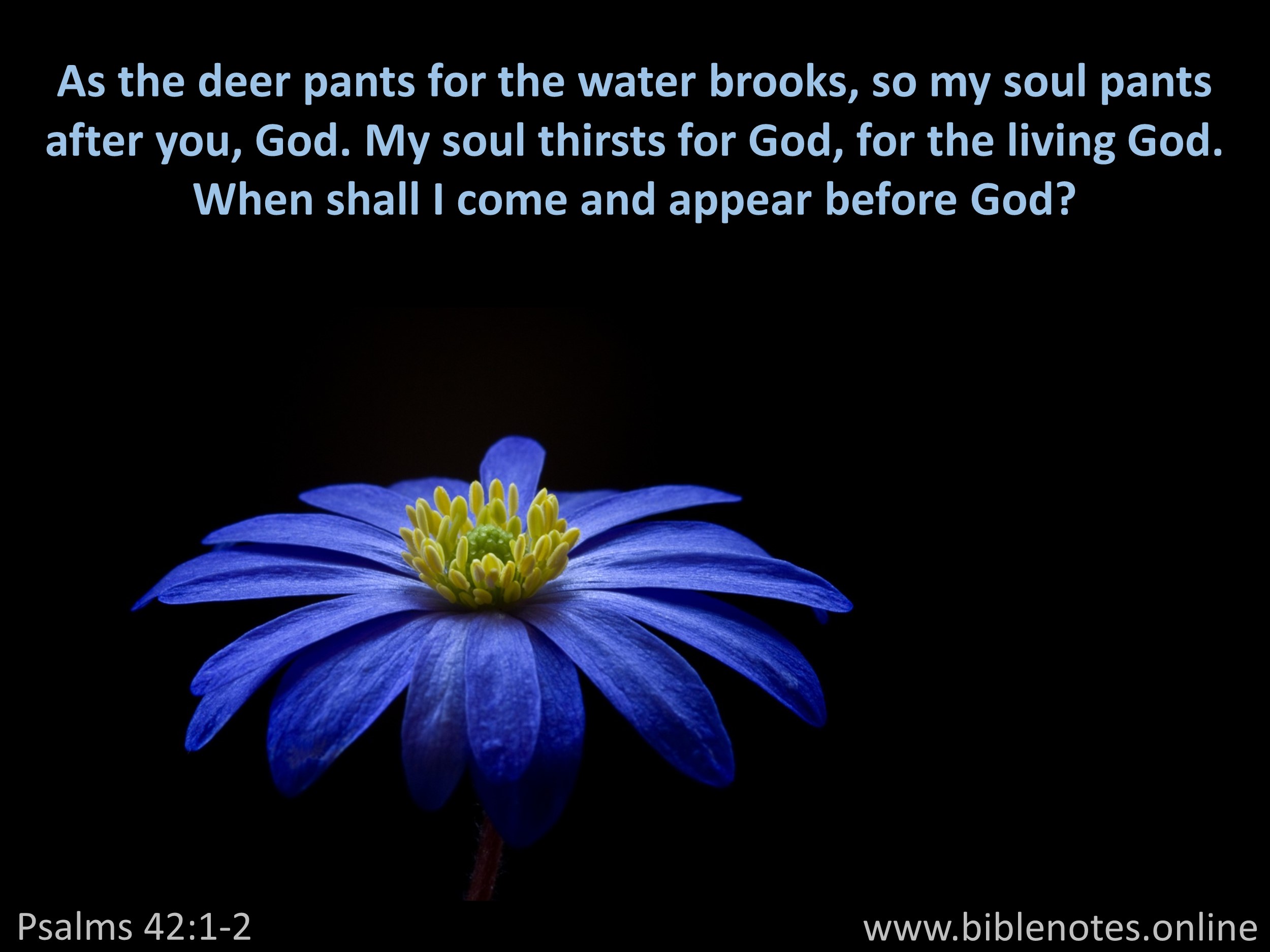 Bible Verse from Psalms Chapter 42