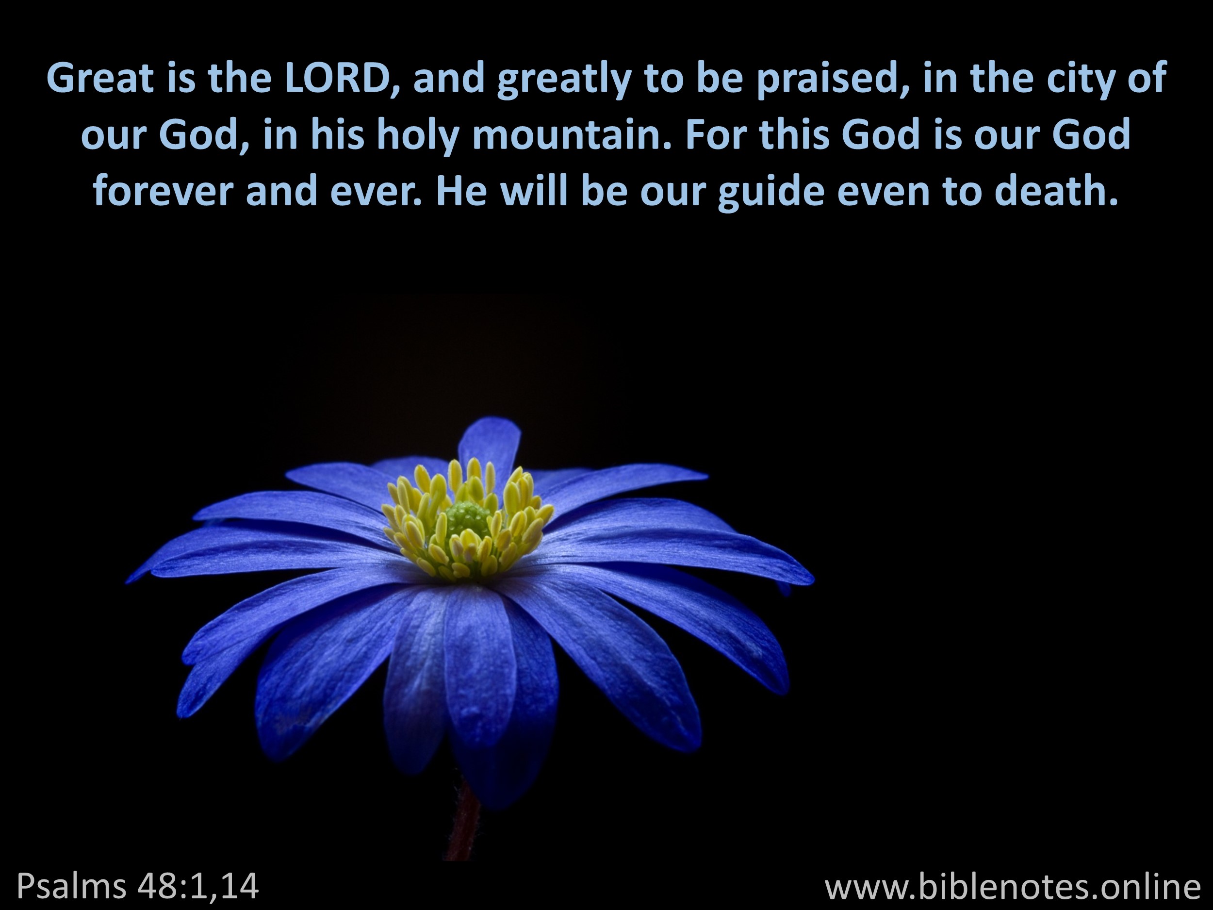Bible Verse from Psalms Chapter 48