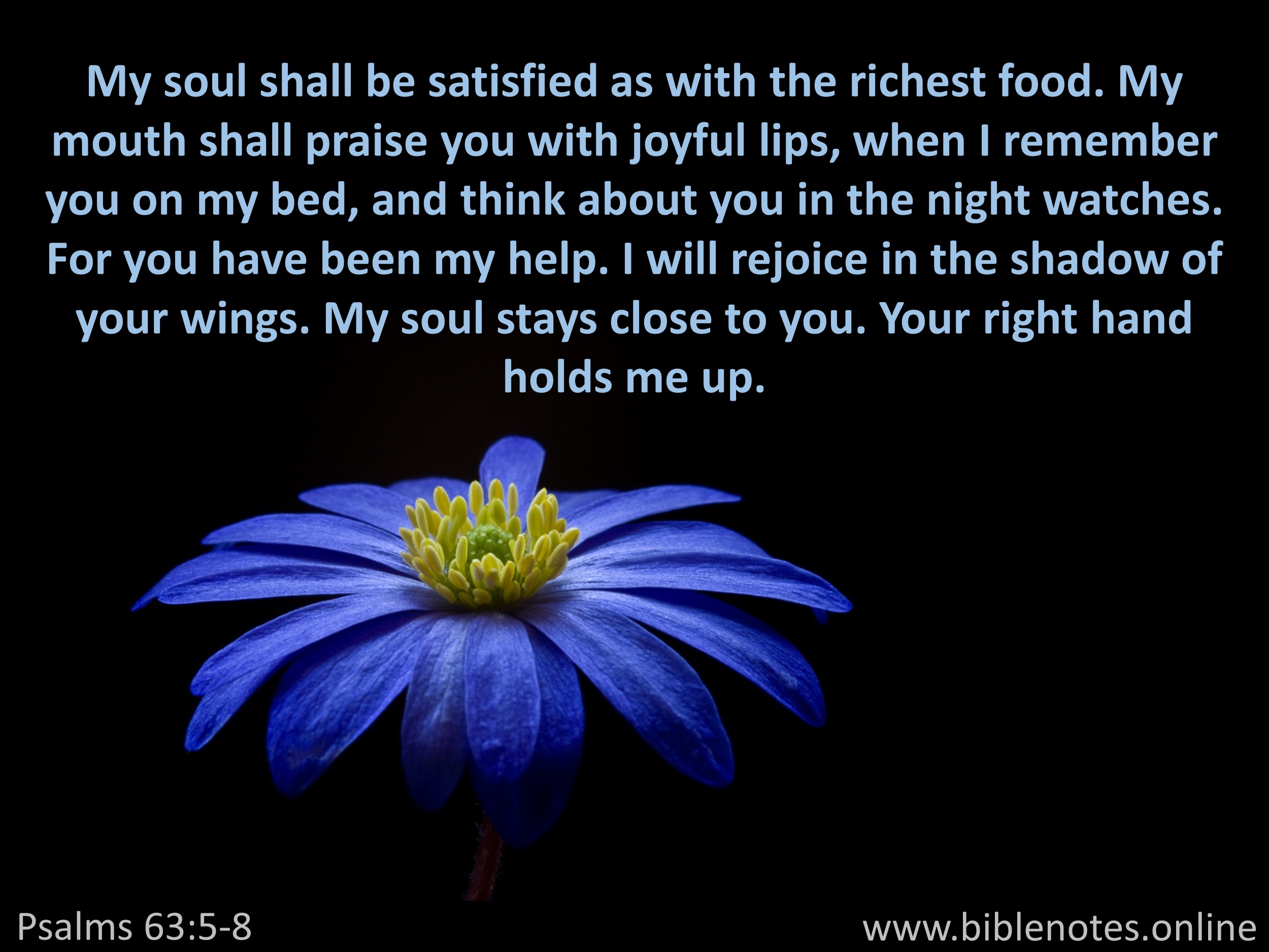 Bible Verse from Psalms Chapter 63