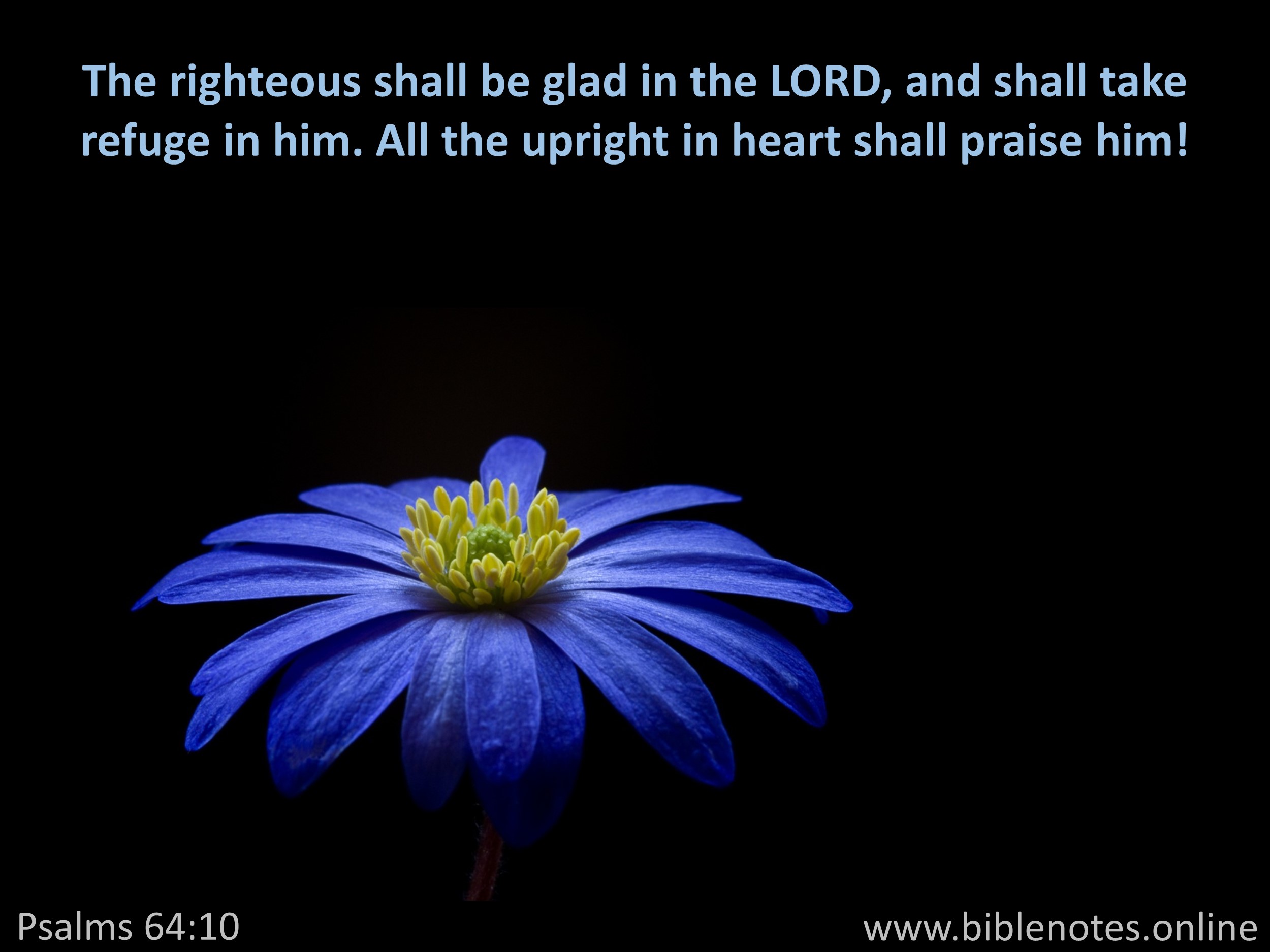 Bible Verse from Psalms Chapter 64