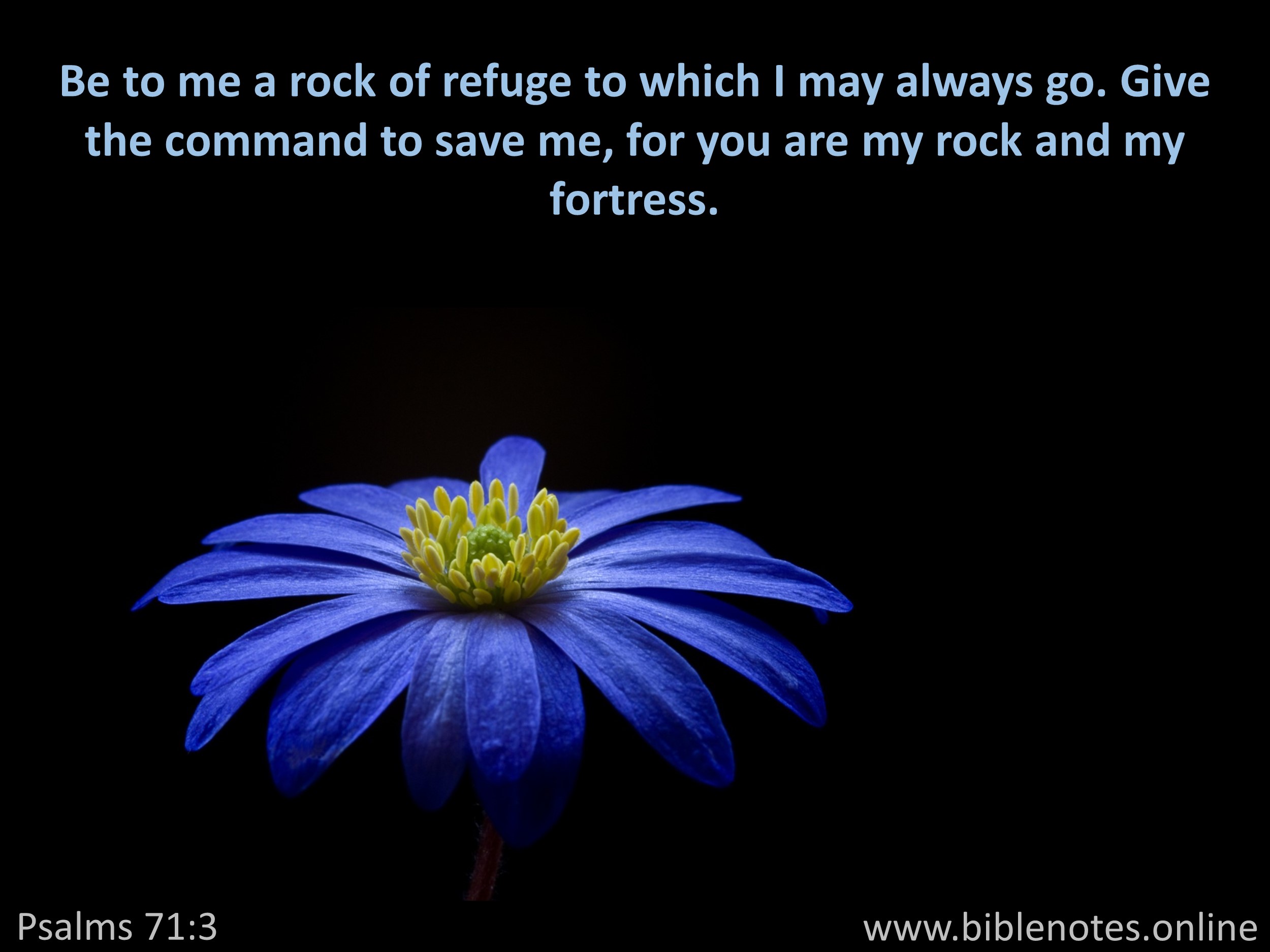 Bible Verse from Psalms Chapter 71