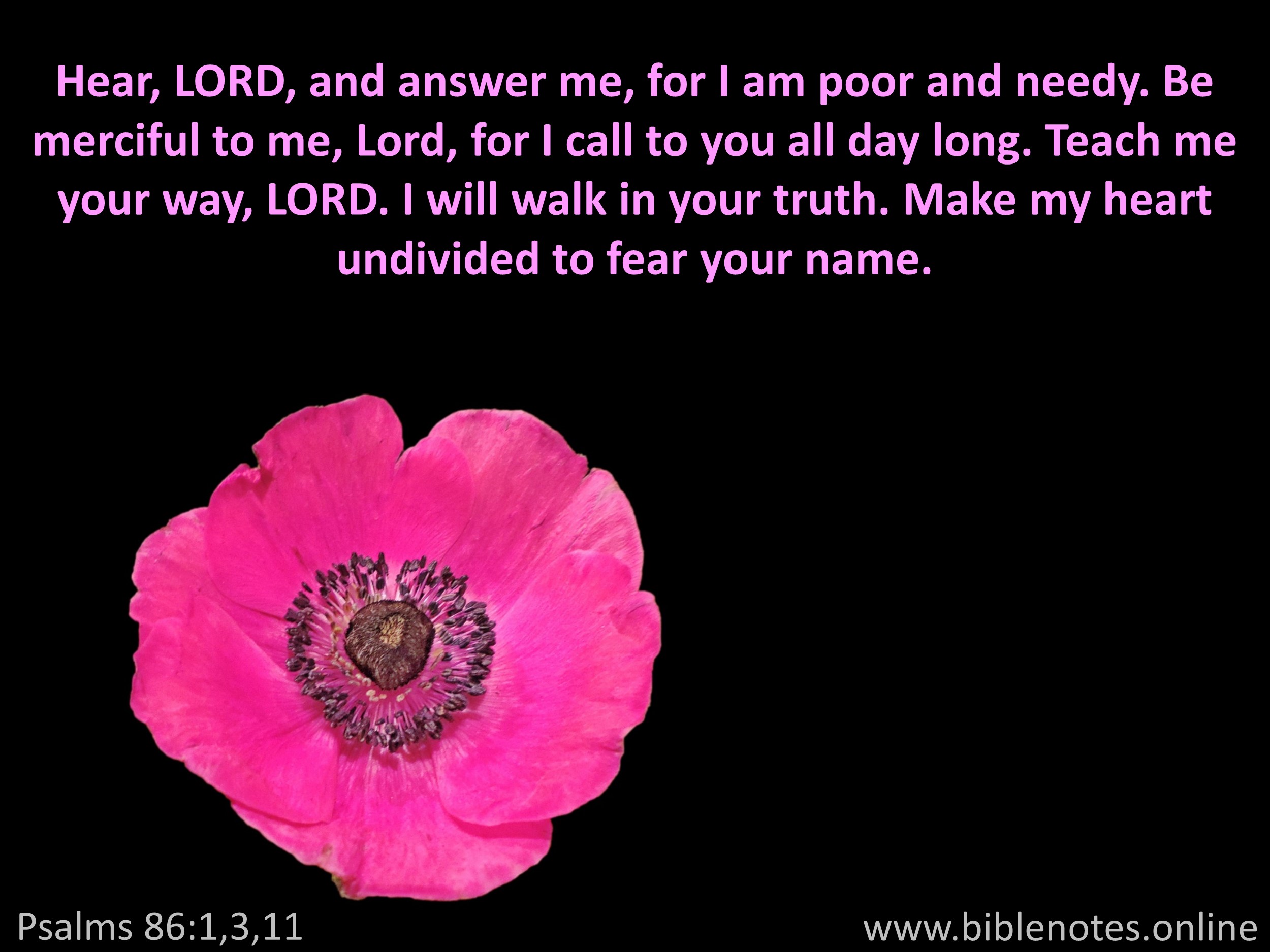 Bible Verse from Psalms Chapter 86