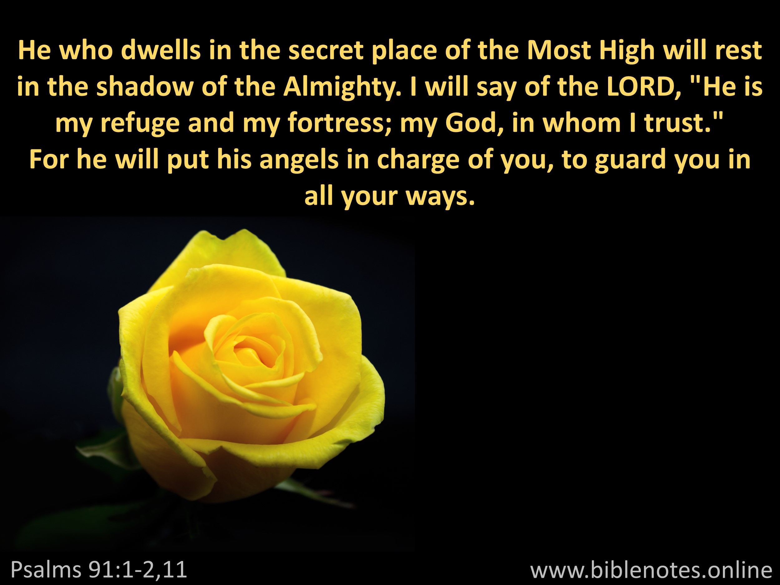 Bible Verse from Psalms Chapter 91