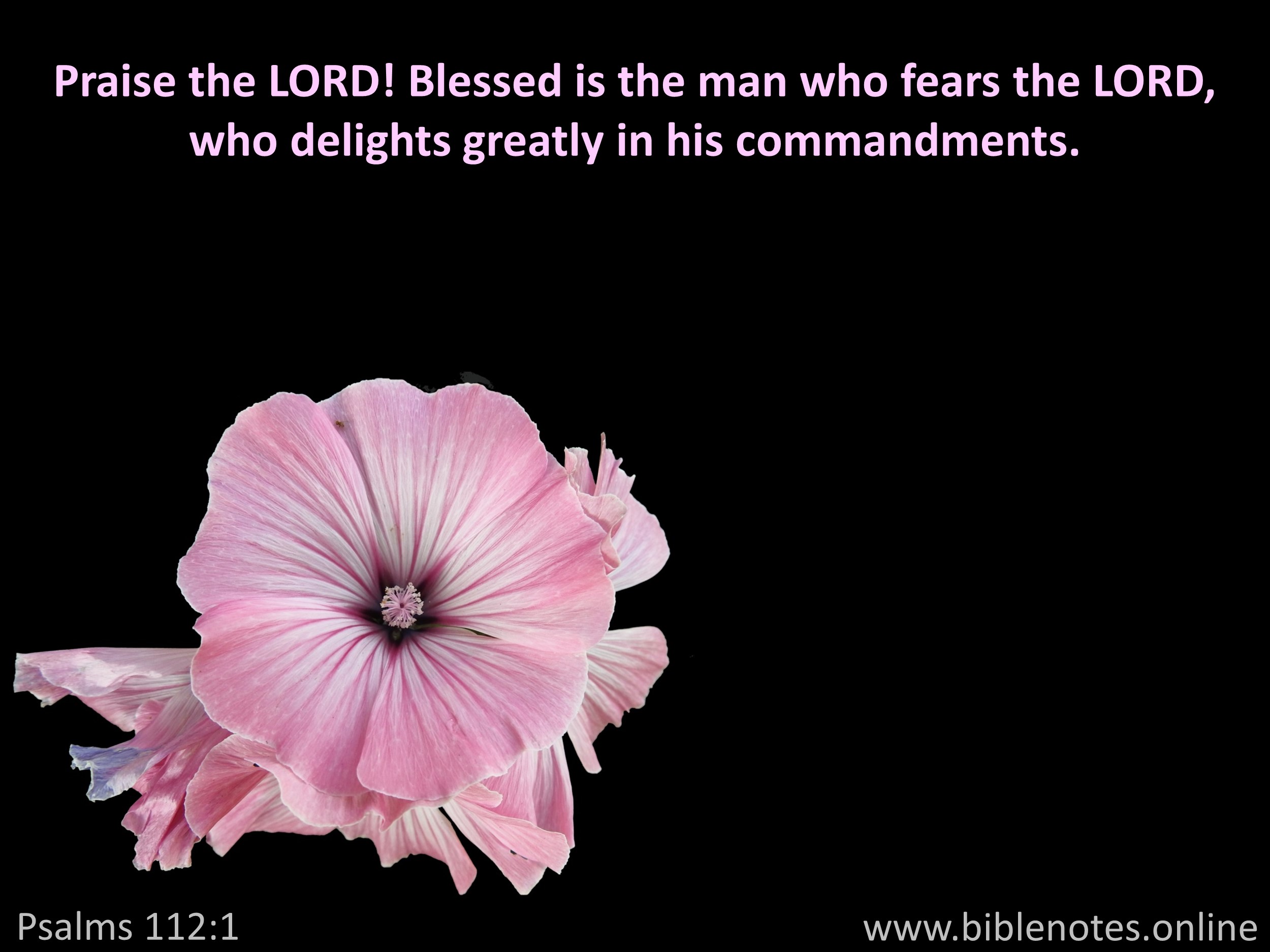 Bible Verse from Psalms Chapter 112