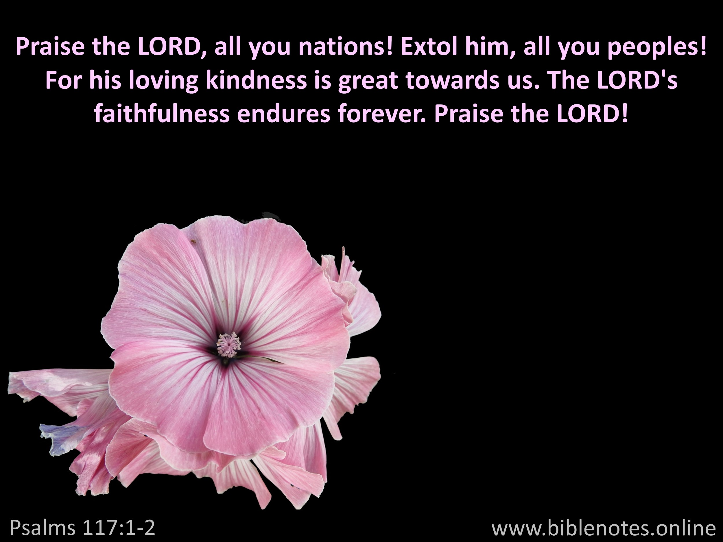 Bible Verse from Psalms Chapter 117